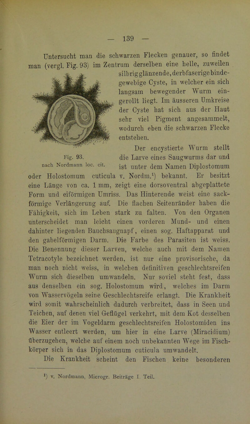 Untersucht man die schwarzen Flecken genauer, so findet man (vergl. Fig. 93) im Zentrum derselben eine helle, zuweilen oder Holostomum cuticula v. Nordm.^) bekannt. Er besitzt eine Länge von ca. 1 mm, zeigt eine dorsoventral abgeplattete Form und eiförmigen Umriss. Das Hinterende weist eine sack- förmige Verlängerung auf. Die flachen Seitenränder haben die Fähigkeit, sich im Leben stark zu falten. Von den Organen unterscheidet man leicht einen vorderen Mund- und einen dahinter liegenden Bauchsaugnapf, einen sog. Haftapparat und den gabelförmigen Darm. Die Farbe des Parasiten ist weiss. Die Benennung dieser Larven, welche auch mit dem Namen Tetracotyle bezeichnet werden, ist nur eine provisorische, da man noch nicht weiss, in welchen definitiven geschlechtsreifen Wurm sich dieselben umwandeln. Nur soviel steht fest, dass aus denselben ein sog. Holostomum wird, welches im Darm von Wasservögeln seine Geschlechtsreife erlangt. Die Krankheit wird somit wahrscheinlich dadurch verbreitet, dass in Seen und Teichen, auf denen viel Geflügel verkehrt, mit dem Kot desselben die Eier der im Vogeldarm geschlechtsreifen Holostomiden ins Wasser entleert werden, um hier in eine Larve (Miracidium) üherzugehen, welche auf einem noch unbekannten Wege im Fisch- körper sich in das Diplostomum cuticula umwandelt. Die Krankheit scheint den Fischen keine besonderen silbrig glänzende, derbfaserige binde- gewebige Cyste, in welcher ein sich langsam bewegender Wurm ein- gerollt liegt. Im äusseren Umkreise der Cyste hat sieh aus der Haut sehr viel Pigment angesammelt, wodurch eben die schwarzen Flecke entstehen. nach Nordmann loc. cit. Fig. 93. Der encystierte Wurm stellt die Larve eines Saugwurms dar und ist unter dem Namen Diplostomum *) V. Nordmann, Microgr. Beiträge I. Teil.