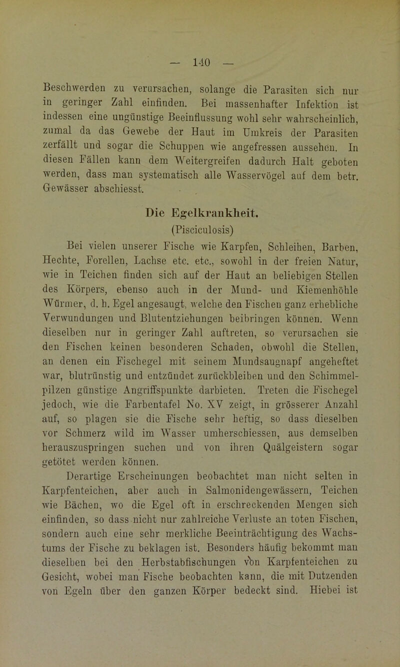 Beschwerden zu verursachen, solange die Parasiten sich nur in geringer Zahl einfinden. Bei massenhafter Infektion ist indessen eine ungünstige Beeinflussung wohl sehr wahrscheinlich, zumal da das Gewebe der Haut iin Umkreis der Parasiten zerfällt und sogar die Schuppen wie angefressen aussehen. In diesen Fällen kann dem Weitergreifen dadurch Halt geboten werden, dass man systematisch alle Wasservögel auf dem betr. Gewässer ahschiesst. Die Egelkranklieit. (Pisciculosis) Bei vielen unserer Fische wie Karpfen, Schleihen, Barben, Hechte, Forellen, Lachse etc. etc., sowohl in der freien Natur, wie in Teichen finden sich auf der Haut an beliebigen Stellen des Körpers, ebenso auch in der Mund- und Kiemenhöhle Würmer, d. h. Egel angesaugt, welche den Fischen ganz erhebliche Verwundungen und Blutentziehungen beibringen können. Wenn dieselben nur in geringer Zahl auftreten, so verursachen sie den Fischen keinen besonderen Schaden, obwohl die Stellen, an denen ein Fischegel mit seinem Mundsaugnapf angeheftet war, blutrünstig und entzündet Zurückbleiben und den Schimmel- pilzen günstige Angriffspunkte darbieten. Treten die Fischegel jedoch, wie die Farbentafel No. XV zeigt, in grösserer Anzahl auf, so plagen sie die Fische sehr heftig, so dass dieselben vor Schmerz wild im Wasser umherschiessen, aus demselben herauszuspringen suchen und von ihren Quälgeistern sogar getötet werden können. Derartige Erscheinungen beobachtet man nicht selten in Karpfenteichen, aber auch in Salmonidengewässern, Teichen wie Bächen, wo die Egel oft in erschreckenden Mengen sich einfinden, so dass nicht nur zahlreiche Verluste an toten Fischen, sondern auch eine sehr merkliche Beeinträchtigung des Wachs- tums der Fische zu beklagen ist. Besonders häufig bekommt mau dieselben bei den Herbstabfischungen vbir Karpfenteichen zu Gesicht, wobei man Fische beobachten kann, die mit Dutzenden von Egeln über den ganzen Körper bedeckt sind. Hiebei ist