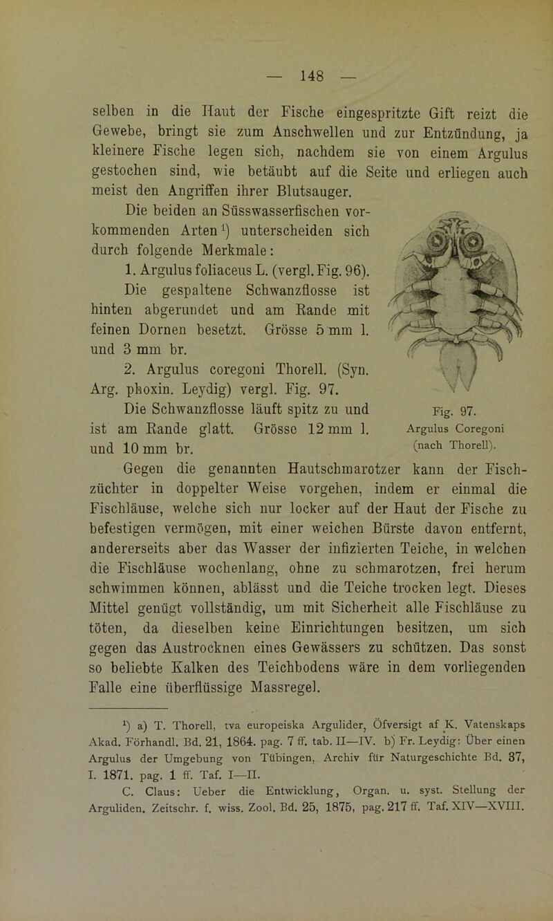 selben in die Haut der Fische eingespritzte Gift reizt die Gewebe, bringt sie zum Anschwellen und zur Entzündung, ja kleinere Fische legen sich, nachdem sie von einem Argulus gestochen sind, wie betäubt auf die Seite und erliegen auch meist den Angriffen ihrer Blutsauger, Die beiden an Süsswasserfischen vor- kommenden Arten unterscheiden sich durch folgende Merkmale: 1. Argulus foliaceus L. (vergl. Fig, 96). Die gespaltene Schwanzfiosse ist hinten abgerundet und am Rande mit feinen Dornen besetzt. Grösse 5 mm 1. und 3 mm br. 2, Argulus eoregoni Thoreil. (Syn. Arg. phoxin. Leydig) vergl. Fig, 97. Die Schwanzflosse läuft spitz zu und ist am Rande glatt, Grösse 12 mm 1. und 10 mm br. Fig. 97. Argulus Coregoni (nach Thoreil). Gegen die genannten Hautschmarotzer kann der Fisch- züchter in doppelter Weise Vorgehen, indem er einmal die Fischläuse, welche sich nur locker auf der Haut der Fische zu befestigen vermögen, mit einer weichen Bürste davon entfernt, andererseits aber das Wasser der infizierten Teiche, in welchen die Fischläuse wochenlang, ohne zu schmarotzen, frei herum schwimmen können, ablässt und die Teiche trocken legt. Dieses Mittel genügt vollständig, um mit Sicherheit alle Fischläuse zu töten, da dieselben keine Einrichtungen besitzen, um sieh gegen das Austrocknen eines Gewässers zu schützen. Das sonst so beliebte Kalken des Teichbodens wäre in dem vorliegenden Falle eine überflüssige Massregel. *) a) T. Thorell, tva europeiska Argulider, Öfversigt af K. Vatenskaps Akad. Förhandl. Bd. 21, 1864. pag. 7 ff. tab. II—IV. b) Fr. Leydig: Über einen Argulus der Umgebung von Tübingen, Archiv für Naturgeschichte Bd. 37, I. 1871. pag. 1 ff. Taf. I—II. C. Claus: Ueber die Entwicklung, Organ, u, syst. Stellung der Arguliden. Zeitschr. f. wiss. Zool. Bd. 25, 1875, pag. 217 ff. Taf. XIV—XVIII.