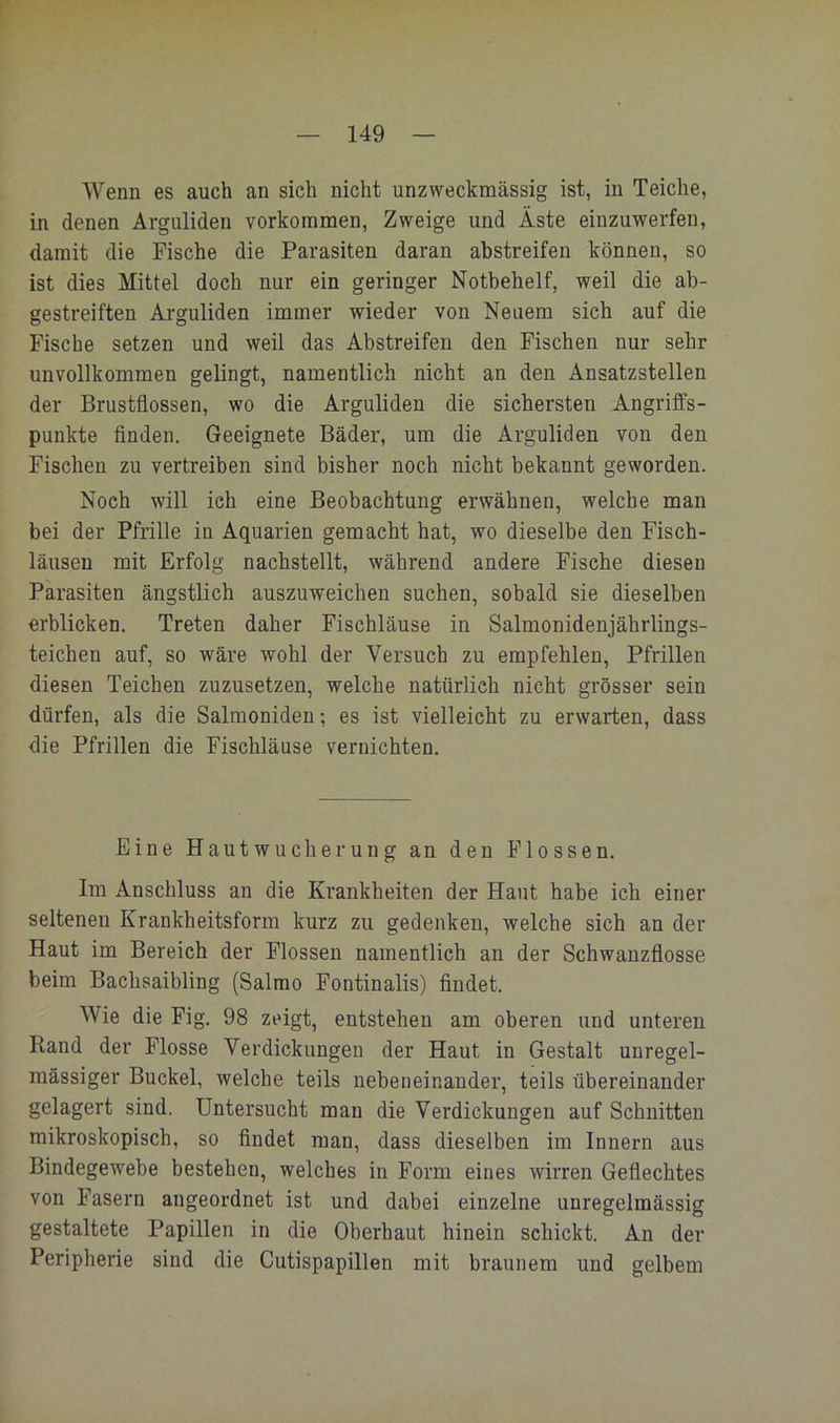 Wenn es auch an sich nicht unzweckmässig ist, in Teiche, in denen Arguliden verkommen, Zweige und Äste einzuwerfen, damit die Fische die Parasiten daran abstreifen können, so ist dies Mittel doch nur ein geringer Notbehelf, weil die ab- gestreiften Arguliden immer wieder von Neuem sich auf die Fische setzen und weil das Abstreifen den Fischen nur sehr unvollkommen gelingt, namentlich nicht an den Ansatzstellen der Brustflossen, wo die Arguliden die sichersten Angriffs- punkte Anden. Geeignete Bäder, um die Arguliden von den Fischen zu vertreiben sind bisher noch nicht bekannt geworden. Noch will ich eine Beobachtung erwähnen, welche man bei der Pfrille in Aquarien gemacht hat, wo dieselbe den Fisch- läusen mit Erfolg nachstellt, während andere Fische diesen Parasiten ängstlich auszuweichen suchen, sobald sie dieselben erblicken. Treten daher Fischläuse in Salmonidenjährlings- teichen auf, so wäre wohl der Versuch zu empfehlen, Pfrillen diesen Teichen zuzusetzen, welche natürlich nicht grösser sein dürfen, als die Salmoniden; es ist vielleicht zu erwarten, dass die Pfrillen die Fischläuse vernichten. Eine Hautwucherung an den Flossen. Im Anschluss an die Krankheiten der Haut habe ich einer seltenen Krankheitsform kurz zu gedenken, welche sich an der Haut im Bereich der Flossen namentlich an der Schwanzflosse beim Bachsaibling (Salmo Fontinalis) findet. Wie die Fig. 98 zeigt, entstehen am oberen und unteren Rand der Flosse Verdickungen der Haut in Gestalt unregel- mässiger Buckel, welche teils nebeneinander, teils übereinander gelagert sind. Untersucht man die Verdickungen auf Schnitten mikroskopisch, so findet man, dass dieselben im Innern aus Bindegewebe bestehen, welches in Form eines wirren Geflechtes von Fasern angeordnet ist und dabei einzelne unregelmässig gestaltete Papillen in die Oberhaut hinein schickt. An der Peripherie sind die Cutispapillen mit braunem und gelbem