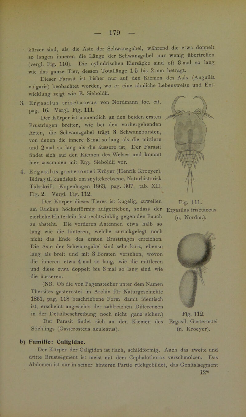 r — 179 — 3. 4. kürzer sind, als die Äste der Schwanzgabel, während die etwa doppelt so langen inneren die Länge der Schwanzgabel nur wenig übertreffen (vergl. Fig. 110). Die cylindrischen Eiersäcke sind oft 3 mal so lang wie das ganze Tier, dessen Totallänge 1,5 bis 2 mm beträgt. Dieser Parasit ist bisher nur auf den Kiemen des Aals (Anguilla vulgaris) beobachtet wordten, wo er eine ähnliche Lebensweise und Ent- wicklung zeigt wie E. Sieboldii. Ergasilus trise'taceus von Nordmann loc. cit. pag. 16. Vergl. Fig. 111. Der Körper ist namentlich an den beiden ersten Brustringen breiter, wie bei den vorhergehenden Arten, die Schwanzgabel trägt .3 Schwanzborsten, von denen die innere 3 mal so lang als die mittlere und 2 mal so lang als die äussere ist. Der Parasit findet sich auf den Kiemen des Welses und kommt hier zusammen mit Erg. Sieboldii vor. Ergasilus gasterostei Kröyer (Henrik Kroeyer). Bidrag til kundskab om snyltekrebsene, Naturhistorisk Tidsskrift, Kopenhagen 1863, pag. 307, tab. XII, Fig. 2. Vergl. Fig. 112. ^ Der Körper dieses Tieres ist kugelig, zuweilen jrig. am Rücken höckerförmig aufgetrieben, sodass der Ergasilus trisetaceus zierliche Hinterleib fast rechtwinklig gegen den Bauch zu absteht. Die vorderen Antennen etwa halb so lang wie die hinteren, welche zurückgelegt noch nicht das Ende des ersten Brustringes erreichen. Die Äste der Schwanzgabel sind sehr kurz, ebenso lang als breit und mit 3 Borsten versehen, wovon die inneren etwa 4 mal so lang, wie die mittleren und diese etwa doppelt bis 3 mal so lang sind wie die äusseren. (NB. Ob die von Pagenstecher unter dem Namen Thersites gasterostei im Archiv für Naturgeschichte 1861, pag. 118 beschriebene Form damit identisch ist, erscheint angesichts der zahlreichen Differenzen in der Detailbeschreibung noch nicht ganz sicher.) Der Parasit findet sich an den Kiemen des Stichlings (Gasierosteus aculeatus). (n. Nordm.). Fig. 112. Ergasil. Gasterostei (n. Kroeyer). b) Familie: Caligidae. Der Körper der Caligiden ist flach, schildförmig. Auch das zweite und dritte Brustsegment ist meist mit dem Cephalothorax verschmolzen. Das Abdomen ist nur in seiner hinteren Partie rückgebildet, das Genitalsegment 12*
