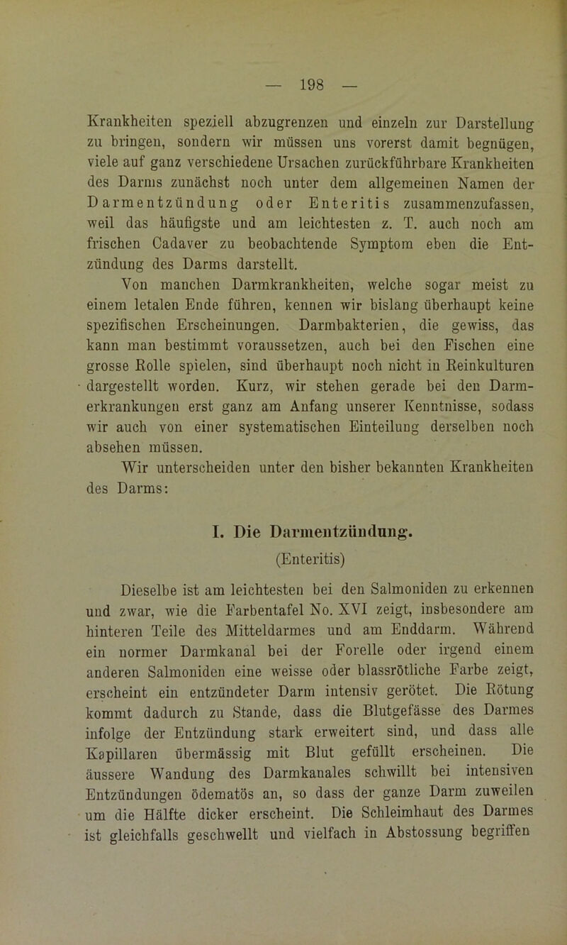 Krankheiten speziell abzugrenzen und einzeln zur Darstellung zu bringen, sondern wir müssen uns vorerst damit begnügen, viele auf ganz verschiedene Ursachen zurückführbare Krankheiten des Darms zunächst noch unter dem allgemeinen Namen der Darmentzündung oder Enteritis zusammenzufassen, weil das häufigste und am leichtesten z. T. auch noch am frischen Cadaver zu beobachtende Symptom eben die Ent- zündung des Darms darstellt. Von manchen Darmkrankheiten, welche sogar meist zu einem letalen Ende führen, kennen wir bislang überhaupt keine spezifischen Erscheinungen. Darmbakterien, die gewiss, das kann man bestimmt voraussetzen, auch bei den Fischen eine grosse Rolle spielen, sind überhaupt noch nicht in Reinkulturen dargestellt worden. Kurz, wir stehen gerade bei den Darm- erkrankungen erst ganz am Anfang unserer Kenntnisse, sodass wir auch von einer systematischen Einteilung derselben noch absehen müssen. Wir unterscheiden unter den bisher bekannten Krankheiten des Darms: I. Die Darmeiltzüutlung. (Enteritis) Dieselbe ist am leichtesten bei den Salmoniden zu erkennen und zwar, wie die Farbentafel No. XVI zeigt, insbesondere am hinteren Teile des Mitteldarmes und am Enddarm. Während ein normer Darmkanal bei der Forelle oder irgend einem anderen Salmoniden eine weisse oder blassrötliche Farbe zeigt, erscheint ein entzündeter Darm intensiv gerötet. Die Rötung kommt dadurch zu Stande, dass die Blutgefässe des Darmes infolge der Entzündung stark erweitert sind, und dass alle Kapillaren übermässig mit Blut gefüllt erscheinen. Die äussere Wandung des Darmkanales schwillt bei intensiven Entzündungen ödematös an, so dass der ganze Darm zuweilen um die Hälfte dicker erscheint. Die Schleimhaut des Darmes ist gleichfalls geschwellt und vielfach in Abstossung begriffen