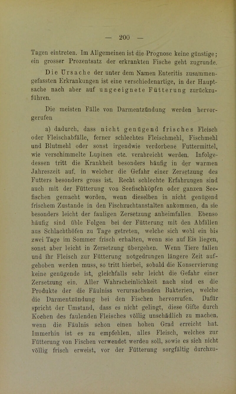 Tagen eiutreten. Im Allgemeinen ist die Prognose keine günstige; ein grosser Prozentsatz der erkrankten Fische geht zugrunde. Die Ursache der unter dem Namen Enteritis zusammen- gefassten Erkrankungen ist eine verschiedenartige, in der Haupt- sache nach aber auf ungeeignete Fütterung zurückzu- führen. Die meisten Fälle von Darmentzündung werden hervor- gerufen a) dadurch, dass nicht genügend frisches Fleisch oder Fleischabfälle, ferner schlechtes Fleischmehl, Fischmehl und Blutmehl oder sonst irgendwie verdorbene Futtermittel, wie verschimmelte Lupinen etc, verabreicht werden. Infolge- dessen tritt die Krankheit besonders häufig in der warmen Jahreszeit auf, in welcher die Gefahr einer Zersetzung des Futters besonders gross ist. Recht schlechte Erfahrungen sind auch mit der Fütterung von Seefischköpfen oder ganzen See- fischen gemacht worden, wenn dieselben in nicht genügend frischem Zustande in den Fischzuchtanstalten ankommen, da sie besonders leicht der fauligen Zersetzung anheimfallen. Ebenso häufig sind üble Folgen bei der Fütterung mit den Abfällen aus Schlachthöfen zu Tage getreten, welche sich wohl ein bis zwei Tage im Sommer frisch erhalten, wenn sie auf Eis liegen, sonst aber leicht in Zersetzung übergehen. Wenn Tiere fallen und ihr Fleisch zur Fütterung notgedrungen längere Zeit auf- gehoben werden muss, so tritt hierbei, sobald die Konservierung keine genügende ist, gleichfalls sehr leicht die Gefahr einer Zersetzung ein. Aller Wahrscheinlichkeit nach sind es die Produkte der die Fäulniss verursachenden Bakterien, welche die Darmentzündung bei den Fischen hervorrufen. Dafür spricht der Umstand, dass es nicht gelingt, diese Gifte durch Kochen des faulenden Fleisches völlig unschädlich zu machen, wenn die Fäulnis schon einen hohen Grad erreicht hat. Immerhin ist es zu empfehlen, alles Fleisch, welches zur Fütterung von Fischen verwendet werden soll, sowie es sieh nicht völlig frisch erweist, vor der Fütterung sorgfältig durchzu-
