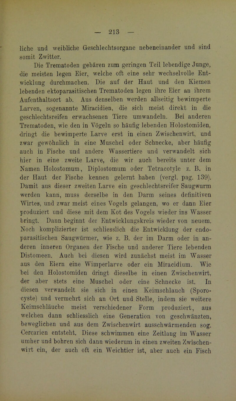 liehe und weibliche Geschlechtsorgane nebeneinander und sind somit Zwitter, Die Trematoden gebären zum geringen Teil lebendige Junge, die meisten legen Eier, welche oft eine sehr wechselvolle Ent- wicklung durchmachen. Die auf der Haut und den Kiemen lebenden ektoparasitischen Trematoden legen ihre Eier an ihrem Aufenthaltsort ab. Aus denselben werden allseitig bewimperte Larven, sogenannte Miracidien, die sich meist direkt in die geschlechtsreifen erwachsenen Tiere umwandeln. Bei anderen Trematoden, wie den in Vögeln so häufig lebenden Holostomiden, dringt die bewimperte Larve erst in einen Zwischenwirt, und zwar gewöhnlich in eine Muschel oder Schnecke, aber häufig auch in Fische und andere Wassertiere und verwandelt sich hier in eine zweite Larve, die wir auch bereits unter dem Namen Holostomum, Diplöstomum oder Tetracotyle z. B. in der Haut der Fische kennen gelernt haben (vergl. pag. 139). Damit aus dieser zweiten Larve ein geschlechtsreifer Saugwurm werden kann, muss derselbe in den Darm seines definitiven Wirtes, und zwar meist eines Vogels gelangen, wo er dann Eier produziert und diese mit dem Kot des Vogels wieder ins Wasser bringt. Dann beginnt der Entwicklungskreis wieder von neuem. Noch komplizierter ist schliesslich die Entwicklung der endo- parasitischen Saugwürmer, wie z. B. der im Darm oder in an- deren inneren Organen der Fische und anderer Tiere lebenden Distomeen. Auch bei diesen wird zunächst meist im Wasser aus den Eiern eine Wimperlarve oder ein Miracidium. Wie bei den Holostomiden dringt dieselbe in einen Zwischenwirt, der aber stets eine Muschel oder eine Schnecke ist. In diesen verwandelt sie sich in einen Keimschlauch (Sporo- CYste) und vermehrt sich an Ort und Stelle, indem sie weitere Keimschläuche meist verschiedener Form produziert, aus welchen dann schliesslich eine Generation von geschwänzten, beweglichen und aus dem Zwischenwirt ausschwärmenden sog. Cercarien entsteht. Diese schwimmen eine Zeitlaug im Wasser umher und bohren sich dann wiederum in einen zweiten Zwischen- wirt ein, der auch oft ein Weichtier ist, aber auch ein Fisch