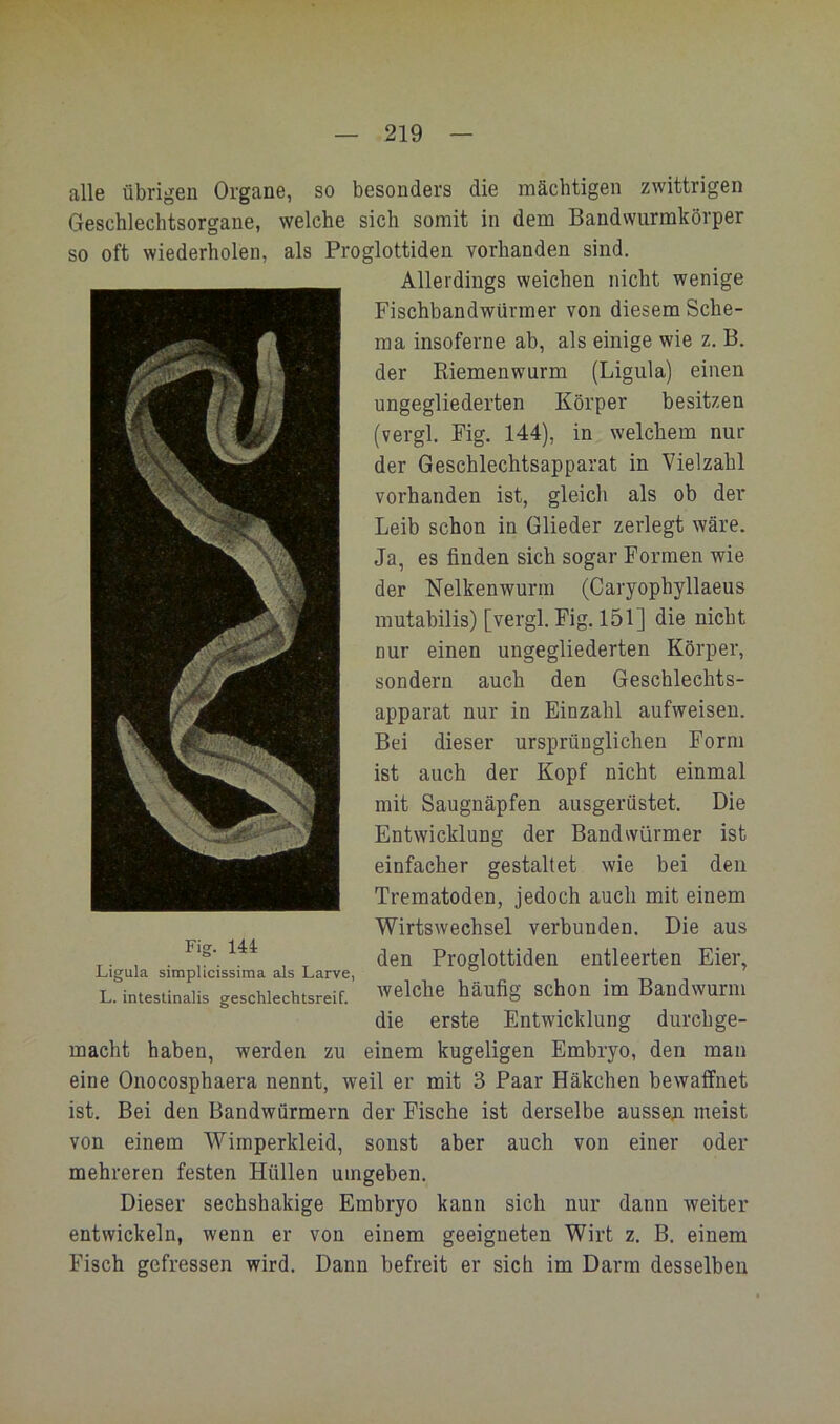 alle übrigen Organe, so besonders die mächtigen zwittrigen Geschlechtsorgane, welche sich somit in dem Bandwurmkörper so oft wiederholen, als Proglottiden vorhanden sind. Allerdings weichen nicht wenige Fischbandwürmer von diesem Sche- ma insoferne ab, als einige wie z. B. der Riemenwurm (Ligula) einen ungegliederten Körper besitzen (vergl. Fig. 144), in welchem nur der Geschlechtsapparat in Vielzahl vorhanden ist, gleich als ob der Leib schon in Glieder zerlegt wäre. Ja, es finden sich sogar Formen wie der Nelkenwurra (Caryophyllaeus mutabilis) [vergl, Fig, 151] die nicht nur einen ungegliederten Körper, sondern auch den Geschlechts- apparat nur in Einzahl aufweisen. Bei dieser ursprünglichen Form ist auch der Kopf nicht einmal mit Saugnäpfen ausgerüstet. Die Entwicklung der Bandwürmer ist einfacher gestaltet wie bei den Trematoden, jedoch auch mit einem Wirtswechsel verbunden. Die aus ^, den Proglottiden entleerten Eier, Ligula simplicissima als Larve, L. intestinalis geschlechtsreif, welche häufig schon im Bandwumi die erste Entwicklung durchge- macht haben, werden zu einem kugeligen Embryo, den man eine Onocosphaera nennt, weil er mit 3 Paar Häkchen bewaffnet ist. Bei den Bandwürmern der Fische ist derselbe ausse,n meist von einem Wimperkleid, sonst aber auch von einer oder mehreren festen Hüllen umgeben. Dieser sechshakige Embryo kann sich nur dann weiter entwickeln, wenn er von einem geeigneten Wirt z. B, einem Fisch gefressen wird. Dann befreit er sich im Darm desselben