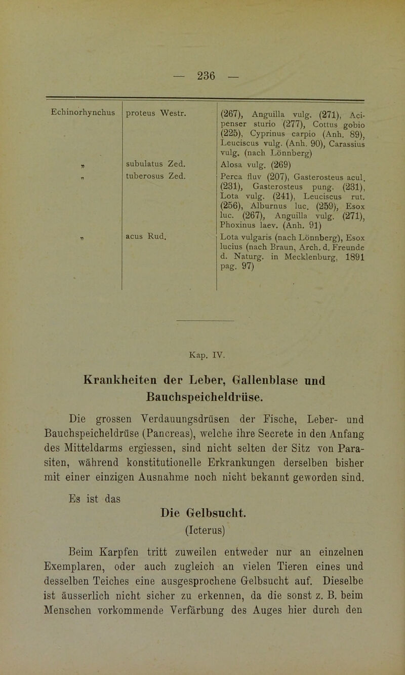 Echinorhynchus proteus Westr. (267), Anguilla vulg. (271), Aci- penser sturio (277), Cottus gobio (225), Cyprinus carpio (Anh. 89), Leuciscus vulg. (Anh. 90), Carassius vulg. (nach Lönnberg) T> subulatus Zed. Alosa vulg. (269) 17 tuberosus Zed. Perca fluv (207), Gasterosteus acul. (231), Gasterosteus pung. (231), Lota vulg. (241), Leuciscus rut. (256), Alburnus luc. (259), Esox luc. (267), Anguilla vulg. (271), Phoxinus laev, (Anh. 9l) fl acus Rud. Lota vulgaris (nach Lönnberg), Esox lucius (nach Braun, Arch. d. Freunde d. Naturg. in Mecklenburg, 1891 pag. 97) Kap. IV. Krankheiten der Leber, Gallenblase und Bauchspeicheldrüse. Die grossen Verdauungsdrüsen der Fische, Leber- und Bauchspeicheldrüse (Pancreas), welche ihre Secrete in den Anfang des Mitteldarms ergiessen, sind nicht selten der Sitz von Para- siten, während konstitutionelle Erkrankungen derselben bisher mit einer einzigen Ausnahme noch nicht bekannt geworden sind. Es ist das Die Gelbsucht. (Icterus) Beim Karpfen tritt zuweilen entweder nur an einzelnen Exemplaren, oder auch zugleich an vielen Tieren eines und desselben Teiches eine ausgesprochene Gelbsucht auf. Dieselbe ist äusserlich nicht sicher zu erkennen, da die sonst z. B, beim Menschen vorkommende Verfärbung des Auges hier durch den