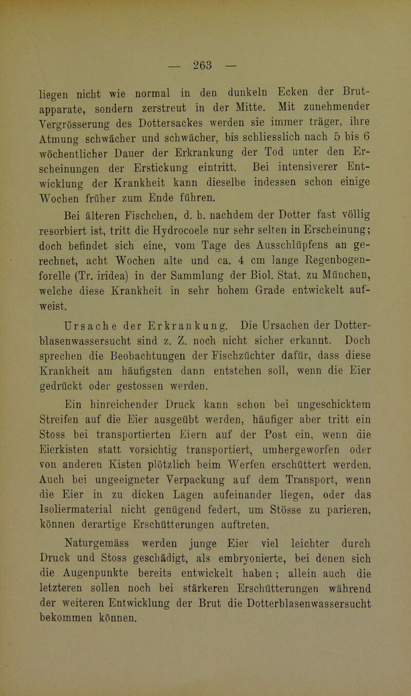 liegen nicht wie normal in den dunkeln Ecken der Brut- apparate, sondern zerstreut in der Mitte. Mit zunehmender Vergrösserung des Dottersackes werden sie immer träger, ihre Atmung schwächer und schwächer, bis schliesslich nach 5 bis 6 wöchentlicher Dauer der Erkrankung der Tod unter den Er- scheinungen der Erstickung eintritt. Bei intensiverer Ent- wicklung der Krankheit kann dieselbe indessen schon einige Wochen früher zum Ende führen. Bei älteren Fischchen, d. h. nachdem der Dotter fast völlig resorbiert ist, tritt die Hydrocoele nur sehr selten in Erscheinung; doch befindet sich eine, vom Tage des Ausschlüpfens an ge- rechnet, acht Wochen alte und ca. 4 cm lange Regenbogen- forelle (Tr. iridea) in der Sammlung der Biol. Stat. zu München, welche diese Krankheit in sehr hohem Grade entwickelt auf- weist. Ursache der Erkrankung. Die Ursachen der Dotter- blasenwassersucht sind z. Z. noch nicht sicher erkannt. Doch sprechen die Beobachtungen der Fischzüchter dafür, dass diese Krankheit am häufigsten dann entstehen soll, wenn die Eier gedrückt oder gestossen werden. Ein hinreichender Druck kann schon bei ungeschicktem Streifen auf die Eier ausgeübt werden, häufiger aber tritt ein Stoss bei transportierten Pliern auf der Post ein, wenn die Eierkisten statt vorsichtig transportiert, umhergeworfen oder von anderen Kisten plötzlich beim Werfen erschüttert werden. Auch bei ungeeigneter Verpackung auf dem Transport, wenn die Eier in zu dicken Lagen aufeinander liegen, oder das Isoliermaterial nicht genügend federt, um Stösse zu parieren, können derartige Erschütterungen auftreten. Naturgemäss werden junge Eier viel leichter durch Druck und Stoss geschädigt, als embryonierte, bei denen sich die Augenpunkte bereits entwickelt haben; allein auch die letzteren sollen noch bei stärkeren Erschütterungen während der weiteren Entwicklung der Brut die Dotterblasenwassersucht bekommen können.