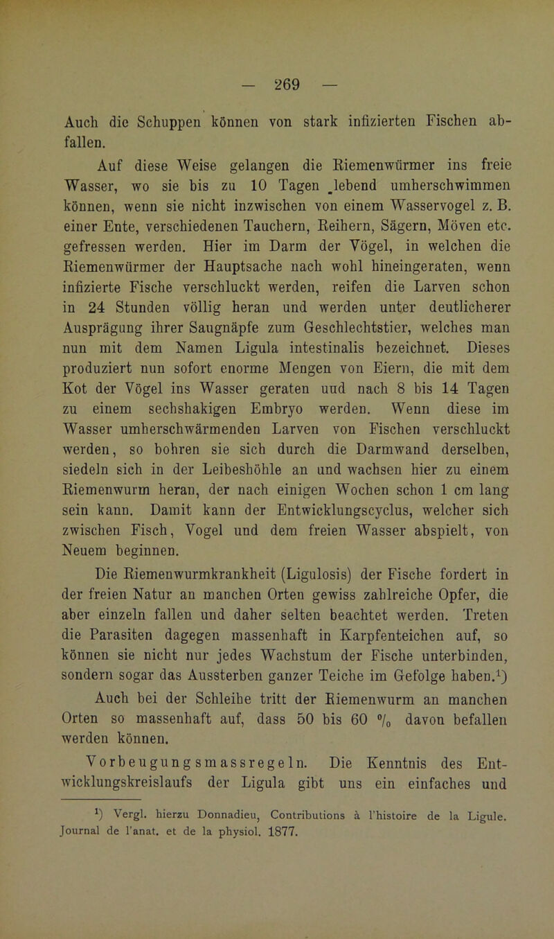 Auch die Schuppen können von stark infizierten Fischen ab- fallen. Auf diese Weise gelangen die Kiemenwürmer ins freie Wasser, wo sie bis zu 10 Tagen ^lebend umherschwimmen können, wenn sie nicht inzwischen von einem Wasservogel z. B. einer Ente, verschiedenen Tauchern, Keihern, Sägern, Möven etc. gefressen werden. Hier im Darm der Vögel, in welchen die Riemenwürmer der Hauptsache nach wohl hineingeraten, wenn infizierte Fische verschluckt werden, reifen die Larven schon in 24 Stunden völlig heran und werden unter deutlicherer Ausprägung ihrer Saugnäpfe zum Geschlechtstier, welches man nun mit dem Namen Ligula intestinalis bezeichnet. Dieses produziert nun sofort enorme Mengen von Eiern, die mit dem Kot der Vögel ins Wasser geraten und nach 8 bis 14 Tagen zu einem sechshakigen Embryo werden. Wenn diese im Wasser umherschwärmenden Larven von Fischen verschluckt werden, so bohren sie sich durch die Darmwand derselben, siedeln sich in der Leibeshöhle an und wachsen hier zu einem Riemenwurm heran, der nach einigen Wochen schon 1 cm lang sein kann. Damit kann der Entwicklungscyclus, welcher sich zwischen Fisch, Vogel und dem freien Wasser abspielt, von Neuem beginnen. Die Riemenwurmkrankheit (Ligulosis) der Fische fordert in der freien Natur an manchen Orten gewiss zahlreiche Opfer, die aber einzeln fallen und daher selten beachtet werden. Treten die Parasiten dagegen massenhaft in Karpfenteichen auf, so können sie nicht nur jedes Wachstum der Fische unterbinden, sondern sogar das Aussterben ganzer Teicbe im Gefolge haben. Auch bei der Schieibe tritt der Eiemenwurm an manchen Orten so massenhaft auf, dass 50 bis 60 ®/o davon befallen werden können. Vorbeugung smassregeln. Die Kenntnis des Ent- wicklungskreislaufs der Ligula gibt uns ein einfaches und 0 Vergl. hierzu Donnadieu, Contributions ä, l’histoire de la Ligule. Journal de l’anat. et de la physiol. 1877.