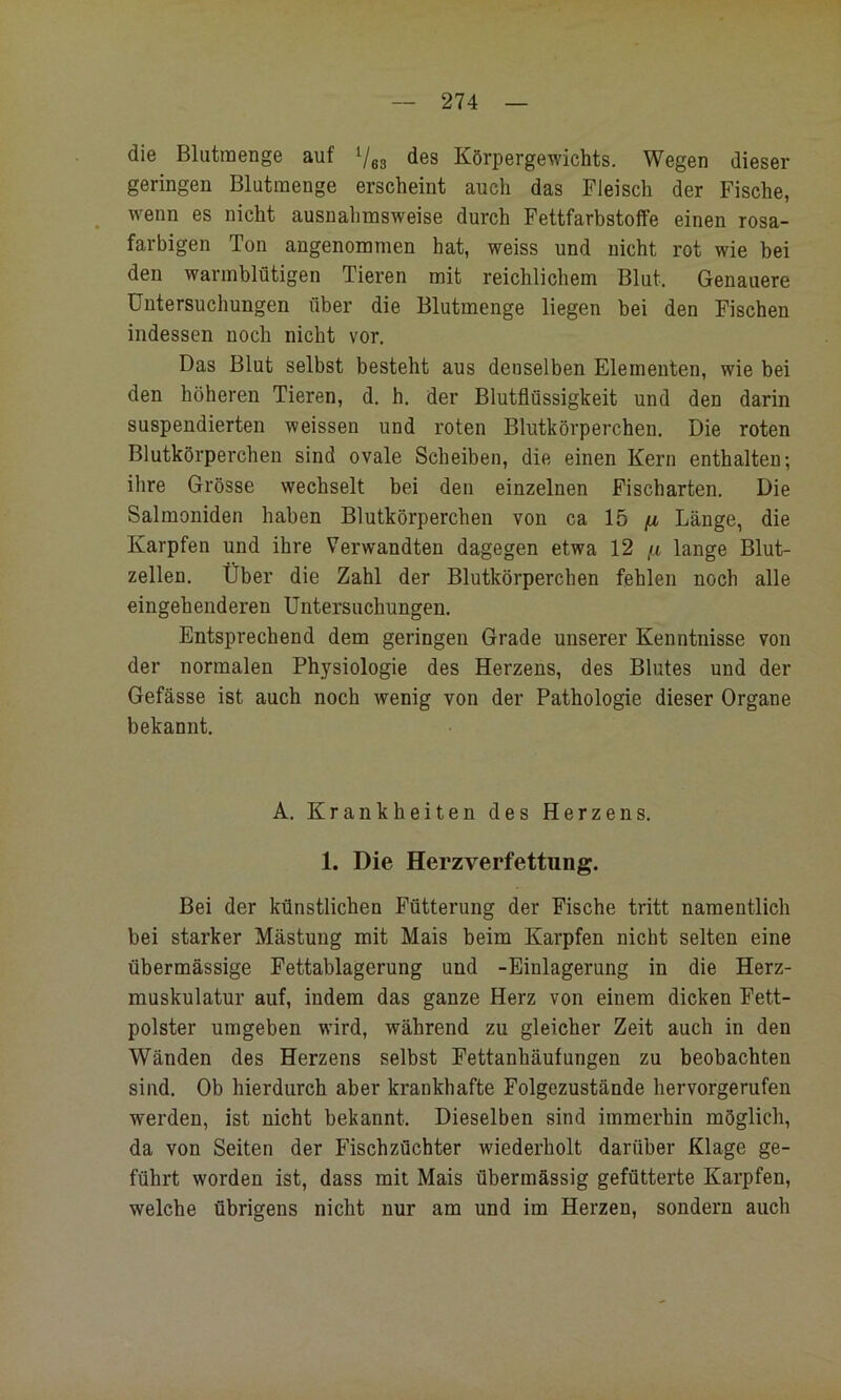 die Blutraenge auf Ves des Körpergewichts. Wegen dieser geringen Blutraenge erscheint auch das Fleisch der Fische, wenn es nicht ausnahmsweise durch Fettfarbstoffe einen rosa- farbigen Ton angenommen hat, weiss und nicht rot wie bei den warmblütigen Tieren mit reichlichem Blut. Genauere Untersuchungen über die Blutmenge liegen bei den Fischen indessen noch nicht vor. Das Blut selbst besteht aus denselben Elementen, wie bei den höheren Tieren, d. h. der Blutflüssigkeit und den darin suspendierten weissen und roten Blutkörperchen. Die roten Blutkörperchen sind ovale Scheiben, die einen Kern enthalten; ihre Grösse wechselt bei den einzelnen Fischarten. Die Salmoniden haben Blutkörperchen von ca 15 Länge, die Karpfen und ihre Verwandten dagegen etwa 12 f.i lange Blut- zellen. Über die Zahl der Blutkörperchen fehlen noch alle eingehenderen Untersuchungen. Entsprechend dem geringen Grade unserer Kenntnisse von der normalen Physiologie des Herzens, des Blutes und der Gefässe ist auch noch wenig von der Pathologie dieser Organe bekannt. A. Krankheiten des Herzens. 1. Die Herzverfettung. Bei der künstlichen Fütterung der Fische tritt namentlich bei starker Mästung mit Mais beim Karpfen nicht selten eine übermässige Fettablagerung und -Einlagerung in die Herz- muskulatur auf, indem das ganze Herz von einem dicken Fett- polster umgeben wird, während zu gleicher Zeit auch in den Wänden des Herzens selbst Fettanhäufungen zu beobachten sind. Ob hierdurch aber krankhafte Folgezustände hervorgerufen werden, ist nicht bekannt. Dieselben sind immerhin möglich, da von Seiten der Fischzüchter wiederholt darüber Klage ge- führt worden ist, dass mit Mais übermässig gefütterte Karpfen, welche übrigens nicht nur am und im Herzen, sondern auch