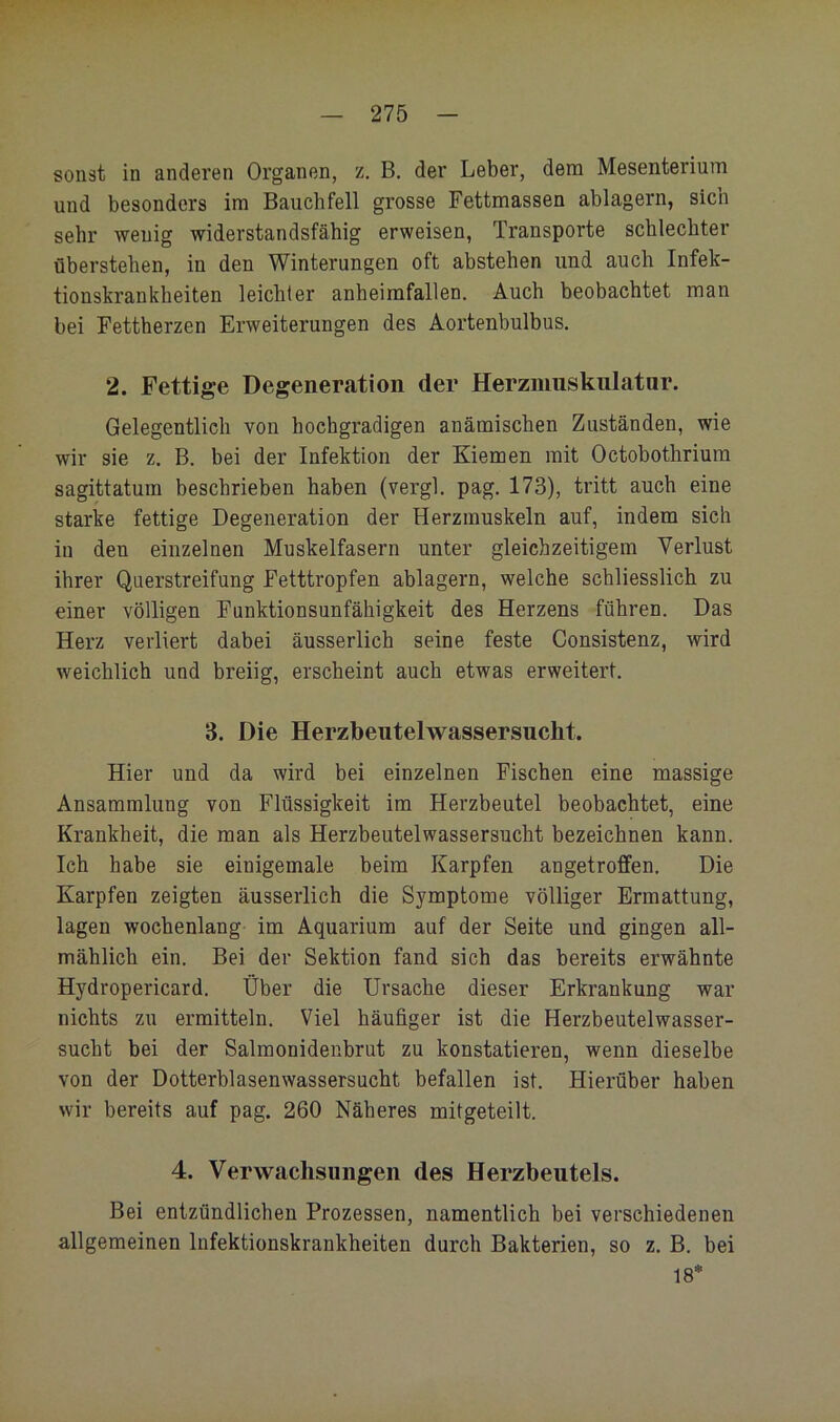 sonst in anderen Organen, z, B, der Leber, dem Mesenterium und besonders im Bauchfell grosse Fettmassen ablagern, sich sehr wenig widerstandsfähig erweisen, Transporte schlechter überstehen, in den Winterungen oft abstehen und auch Infek- tionskrankheiten leichter anheimfallen. Auch beobachtet man bei Fettherzen Erweiterungen des Aortenbulbus. 2. Fettige Degeneration der Herzmuskulatnr. Gelegentlich von hochgradigen anämischen Zuständen, wie wir sie z. B. bei der Infektion der Kiemen mit Octobothrium sagittatum beschrieben haben (vergl. pag. 173), tritt auch eine starke fettige Degeneration der Herzmuskeln auf, indem sich in den einzelnen Muskelfasern unter gleichzeitigem Verlust ihrer Querstreifung Fetttropfen ablagern, welche schliesslich zu einer völligen Funktionsunfähigkeit des Herzens führen. Das Herz verliert dabei äusserlich seine feste Consistenz, wird weichlich und breiig, erscheint auch etwas erweitert. 3. Die Herzbeutelwassersucht. Hier und da wird bei einzelnen Fischen eine massige Ansammlung von Flüssigkeit im Herzbeutel beobachtet, eine Krankheit, die man als Herzbeutelwassersucht bezeichnen kann. Ich habe sie einigemale beim Karpfen angetrofifen. Die Karpfen zeigten äusserlich die Symptome völliger Ermattung, lagen wochenlang im Aquarium auf der Seite und gingen all- mählich ein. Bei der Sektion fand sich das bereits erwähnte Hydropericard. Über die Ursache dieser Erkrankung war nichts zu ermitteln. Viel häufiger ist die Herzbeutelwasser- sucht bei der Salmonidenbrut zu konstatieren, wenn dieselbe von der Dotterblasenwassersucht befallen ist. Hierüber haben wir bereits auf pag. 260 Näheres mitgeteilt. 4. Verwachsungen des Herzbeutels. Bei entzündlichen Prozessen, namentlich bei verschiedenen allgemeinen Infektionskrankheiten durch Bakterien, so z. B. bei 18*