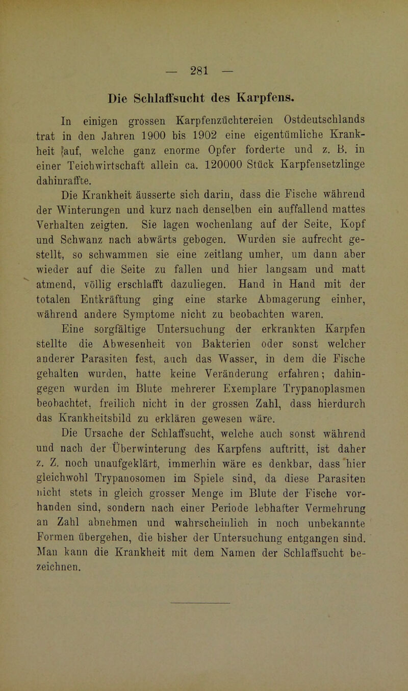 Die Sclilaffsucht des Karpfens, In einigen grossen Karpfenzüchtereien Ostdeutschlands trat in den Jahren 1900 bis 1902 eine eigentümliche Krank- heit fauf, welche ganz enorme Opfer forderte und z, B. in einer Teichwirtschaft allein ca. 120000 Stück Karpfensetzlinge dahinraffte. Die Krankheit äusserte sich darin, dass die Fische während der Winterungen und kurz nach denselben ein auffallend mattes Verhalten zeigten. Sie lagen wochenlang auf der Seite, Kopf und Schwanz nach abwärts gebogen. Wurden sie aufrecht ge- stellt, so schwammen sie eine zeitlang umher, um dann aber wieder auf die Seite zu fallen und hier langsam und matt atmend, völlig erschlafft dazuliegen. Hand in Hand mit der totalen Entkräftung ging eine starke Abmagerung einher, während andere Symptome nicht zu beobachten waren. Eine sorgfältige Untersuchung der erkrankten Karpfen stellte die Abwesenheit von Bakterien oder sonst welcher anderer Parasiten fest, auch das Wasser, in dem die Fische gehalten wurden, hatte keine Veränderung erfahren; dahin- gegen wurden im Blute mehrerer Exemplare Trypanoplasmen beobachtet, freilich nicht in der grossen Zahl, dass hierdurch das Krankheitsbild zu erklären gewesen wäre. Die Ursache der Schlaffsucht, welche auch sonst während und nach der Überwinterung des Karpfens auftritt, ist daher z. Z. noch unaufgeklärt, immerhin wäre es denkbar, dass 'hier gleichwohl Trypanosomen im Spiele sind, da diese Parasiten nicht stets in gleich grosser Menge im Blute der Fische vor- handen sind, sondern nach einer Periode lebhafter Vermehrung an Zahl abnehmen und wahrscheinlich in noch unbekannte Formen übergehen, die bisher der Untersuchung entgangen sind. Älan kann die Krankheit mit dem Namen der Schlaffsucht be- zeichnen.