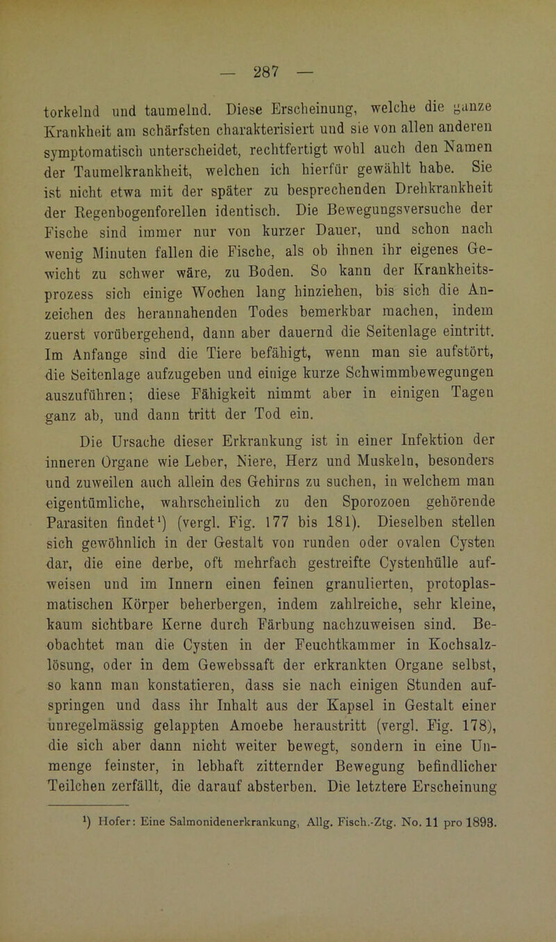 287 torkelnd und taumelnd. Diese Pirscheinung, welche die ganze Krankheit am schärfsten charakterisiert und sie von allen anderen symptomatisch unterscheidet, rechtfertigt wohl auch den Namen der Taumelkrankheit, welchen ich hierfür gewählt habe. Sie ist nicht etwa mit der später zu besprechenden Drehkrankheit der Regenbogenforellen identisch. Die Bewegungsversuche der Fische sind immer nur von kurzer Dauer, und schon nach wenig Minuten fallen die Fische, als ob ihnen ihr eigenes Ge- wicht zu schwer wäre, zu Boden. So kann der Krankheits- prozess sich einige Wochen lang hinziehen, bis sich die An- zeichen des herannahenden Todes bemerkbar machen, indem zuerst vorübergehend, dann aber dauernd die Seitenlage eintritt. Im Anfänge sind die Tiere befähigt, wenn man sie aufstört, die Seitenlage aufzugeben und einige kurze Schwimmbewegungen ausznführen; diese Fähigkeit nimmt aber in einigen Tagen ganz ab, und dann tritt der Tod ein. Die Ursache dieser Erkrankung ist in einer Infektion der inneren Organe wie Leber, Niere, Herz und Muskeln, besonders und zuweilen auch allein des Gehirns zu suchen, in welchem mau eigentümliche, wahrscheinlich zu den Sporozoen gehörende Parasiten findet*) (vergl. Fig. 177 bis 181). Dieselben stellen sich gewöhnlich in der Gestalt von runden oder ovalen Cysten dar, die eine derbe, oft mehrfach gestreifte Cystenhülle auf- weisen und im Innern einen feinen granulierten, protoplas- matischen Körper beherbergen, indem zahlreiche, sehr kleine, kaum sichtbare Kerne durch Färbung nachzuweisen sind. Be- obachtet man die Cysten in der Feuchtkammer in Kochsalz- lösung, oder in dem Gewebssaft der erkrankten Organe selbst, so kann man konstatieren, dass sie nach einigen Stunden auf- springen und dass ihr Inhalt aus der Kapsel in Gestalt einer imregelmässig gelappten Araoebe heraustritt (vergl. FTg. 178), die sich aber dann nicht weiter bewegt, sondern in eine Un- menge feinster, in lebhaft zitternder Bewegung befindlicher Teilchen zerfällt, die darauf absterben. Die letztere Erscheinung