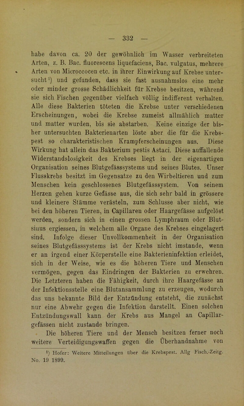 habe davon ca. 20 der gewöhnlich im Wasser verbreiteten Arten, z. B, Bac. fluorescens liquefaciens, Bac. vulgatus, mehrere Arten von Microccocen etc. in ihrer Einwirkung auf Krebse unter- sucht i) und gefunden, dass sie fast ausnahmslos eine mehr oder minder grosse Schädlichkeit für Krebse besitzen, während sie sich Fischen gegenüber vielfach völlig indifferent verhalten. Alle diese Bakterien töteten die Krebse unter verschiedenen Erscheinungen, wobei die Krebse zumeist allmählich matter und matter wurden, bis sie abstarben. Keine einzige der bis- her untersuchten Bakterienarten löste aber die für die Krebs- pest so charakteristischen Krampferscheinungen aus. Diese Wirkung hat allein das Bakterium pestis Astaci. Diese auffallende Widerstandslosigkeit des Krebses liegt in der eigenartigen Organisation seines Blutgefässsystems und seines Blutes. Unser Flusskrebs besitzt im Gegensätze zu den Wirbeltieren und zum Menschen kein geschlossenes Blutgefässsystem. Von seinem Herzen gehen kurze Gefässe aus, die sich sehr bald in grössere und kleinere Stämme verästeln, zum Schlüsse aber nicht, wie bei den höheren Tieren, in Capillaren oder Haargefässe aufgelöst werden, sondern sich in einen grossen Lymphraum oder Blut- sinus ergiessen, in welchem alle Organe des Krebses eingelagert sind. Infolge dieser Unvollkommenheit in der Organisation seines Blutgefässsystems ist der Krebs nicht imstande, wenn er an irgend einer Körperstelle eine Bakterieninfektion erleidet, sich in der Weise, wie es die höheren Tiere und Menschen vermögen, gegen das Eindringen der Bakterien zu erwehren. Die Letzteren haben die Fähigkeit, durch ihre Haargefässe an der Infektionsstelle eine Blutansammlung zu erzeugen, wodurch das uns bekannte Bild der Entzündung entsteht, die zunächst nur eine Abwehr gegen die Infektion darstellt. Einen solchen Entzündungswall kann der Krebs aus Mangel an Capillar- gefässen nicht zustande bringen. Die höheren Tiere und der Mensch besitzen ferner noch weitere Verteidigungswaffen gegen die Überhandnahme von ') Hofer: Weitere Mitteilungen über die Krebspest. Allg bisch.-Zeitg. No. 19 1899.