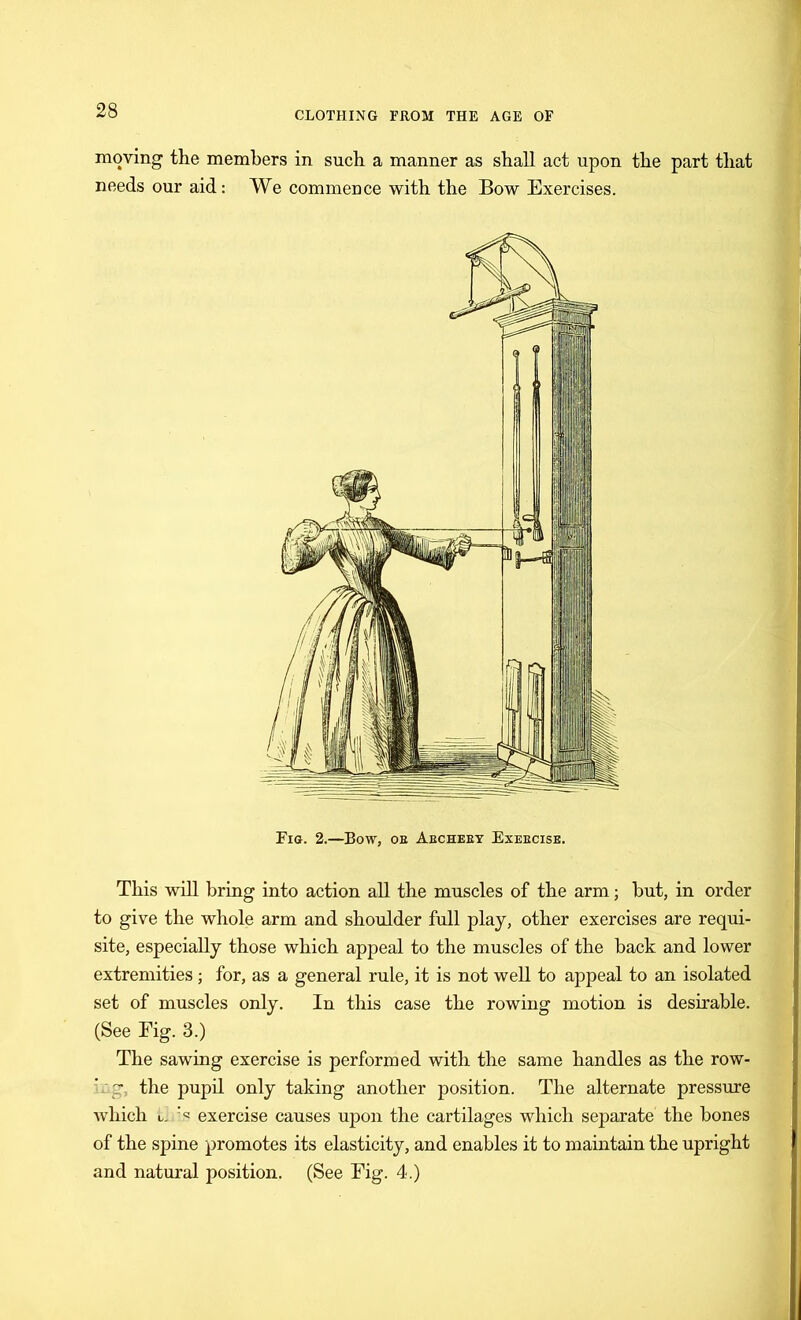 moving the members in such a manner as shall act upon the part that needs our aid: We commence with the Bow Exercises. Fig. 2.—Bow, oe Aecheey Exebcise. This will bring into action all the muscles of the arm; but, in order to give the whole arm and shoulder full play, other exercises are requi- site, especially those which appeal to the muscles of the back and lower extremities; for, as a general rule, it is not well to appeal to an isolated set of muscles only. In this case the rowing motion is desirable. (See Eig. 3.) The sawing exercise is performed with the same handles as the row- ing, the pupil only taking another position. The alternate pressure which t. ;<= exercise causes upon the cartilages which separate the bones of the spine promotes its elasticity, and enables it to maintain the upright and natural position. (See Fig. 4.)