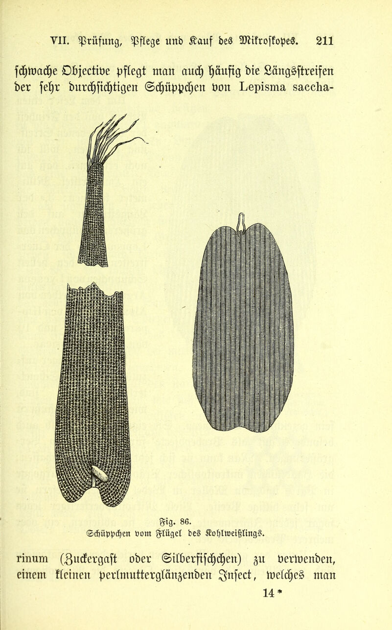 fd^road^e Öbjectiöe pflegt man and) fyaufig bie Säng^ftreifen ber fet)r burdjfidjtigen @$üppd)ett t>on Lepisma saccha- mg- se. 0d)üppd)en t>om Flügel bc§ ^of)ltüet§Itng§. rinum (gucfergaft ober ©itberfifdjd^en) üerioenbeit, einem Keinen pertmutterglän^enben $nfect, toetd)e§ man 14 *