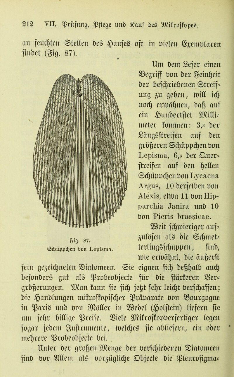 an feuchten Stetten be§ .SpaitfeS oft in nieten (Sfremplarett finbet (gig. 87). Um bem Sefer einen Segriff non ber f^einfiett ber betriebenen Streif- ung ju geben, miß ict» noct) ermäßen, baf) auf ein .'punbcrtftel äRißis meter fommen: 3,3 ber Sänggftreifen auf ben größeren Sctmppdjeit oon Lepisma, 6,e ber Guer= ftreifen auf ben tfeßen Sd^üppdfienOonLycaena Argus, 10 berfetben non Alexis, ettna 11 nonHip- parchia Janira unb 10 non Pieris brassicae. SBeit fc^mieriger aufs jutöfen at§ bie Sdjmet* terting§fbfiuppen, finb, mie ermäfint, bie äufferft fein gezeichneten Siatomeen. Sie eignen fielt» befjtjatb and) befonber§ gut a(§ ^ßrobeobjecte für bie ftärferen Ser= gröfjermtgen. SR an fann fie ft jept fe£»r teietjt Per taffen; bie ,§anbtungen mifroffopiter Präparate non Sourgogne in ißariä unb non ütRößer in SBebet (§otftein) liefern fie um fet»r bißige greife. Siete SRifroffopnerfertiger tegen fogar jebem ^nftrumente, metdje» fie abtiefern, ein ober * mehrere ißrobeobjecte bei. Unter ber großen SRenge ber nertiebenen ©iatomeen finb nor Slßem atg norjügtidje Objecte bie tßteurofigmas