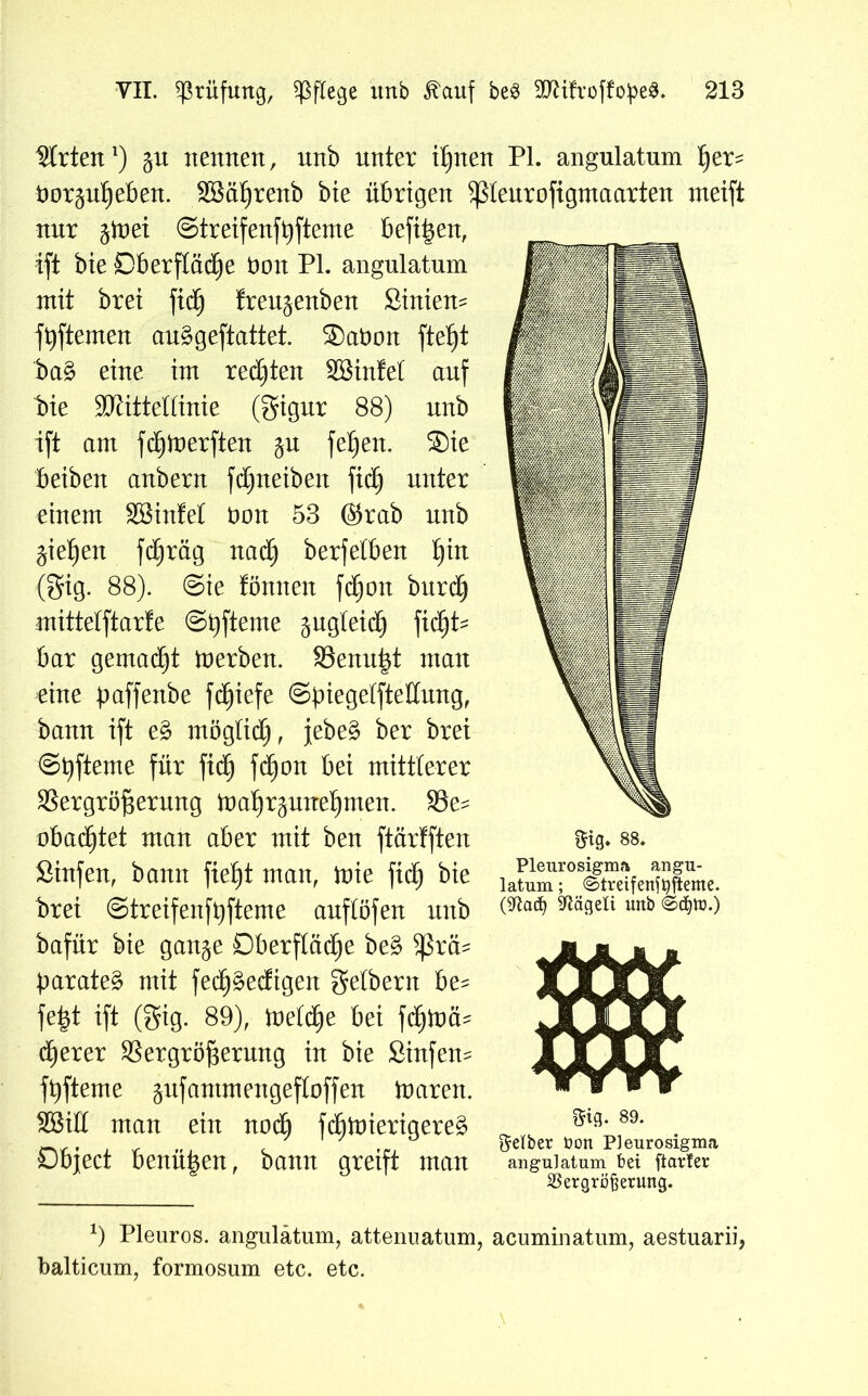 Wirten1) git nennen, nnb unter i£)nen Pl. angulatum ßer- nor^ußeben. SBäßrenb bie übrigen ^leurofigmaarten rneift nur §Loet ©treifenfbfteme bereit, ift bte Dberftädje non PL angulatum mit brei fid) freu^enben Simern fbftemen ctnggeftattet. SDabon ftef)t ba§ eine im redeten SBinfet auf bie SJättedinie (gigur 88) nnb ift am fdjluerften $u fefjen. ®ie beiben anbern fd)neiben fid) nnter einem SBinfet Don 53 @rab nnb gießen fcßräg nadj berfetben ßin (gig. 88). Sie tonnen fdjon burd) mittetftarfe ©tjfteme ^ugteid) \iä)U bar gemacht tnerben. Venußt man eine jmffenbe fd^iefe ©giegetfteKung, bann ift e£ mögtid), jebe§ ber brei ©bfteme für fid) fdjon bei mittlerer Vergrößerung inaßrguneßmen. 93e= obadjtet man aber mit ben ftärlften Sinfen, bann fießt man, inie fid) bie brei ©treifenfbfteme auftöfen nnb bafür bie gan^e Dberfläcße be§ $rcL parates* mit fecpedigert getbern be= feßt ift (gig. 89), toetcße bei fcßloä- euerer Vergrößerung in bie Sinfem f t)ft em e juf antm engeftoff en ln ar en. SBid man ein noeb fcbinieriqeres? ^ ^89* . . . r gelber bon Pleurosigma sJbject benußen, bann greift man angulatum bei ftarfer Vergrößerung. 88. Pleurosigma angu- latum ; (Streifentyfteme. (9tad) ^lögeli unb <Sdjtb.) *) Pleuros. angulatum, attenuatum, acuminatum, aestuarii, balticum, formosum etc. etc.