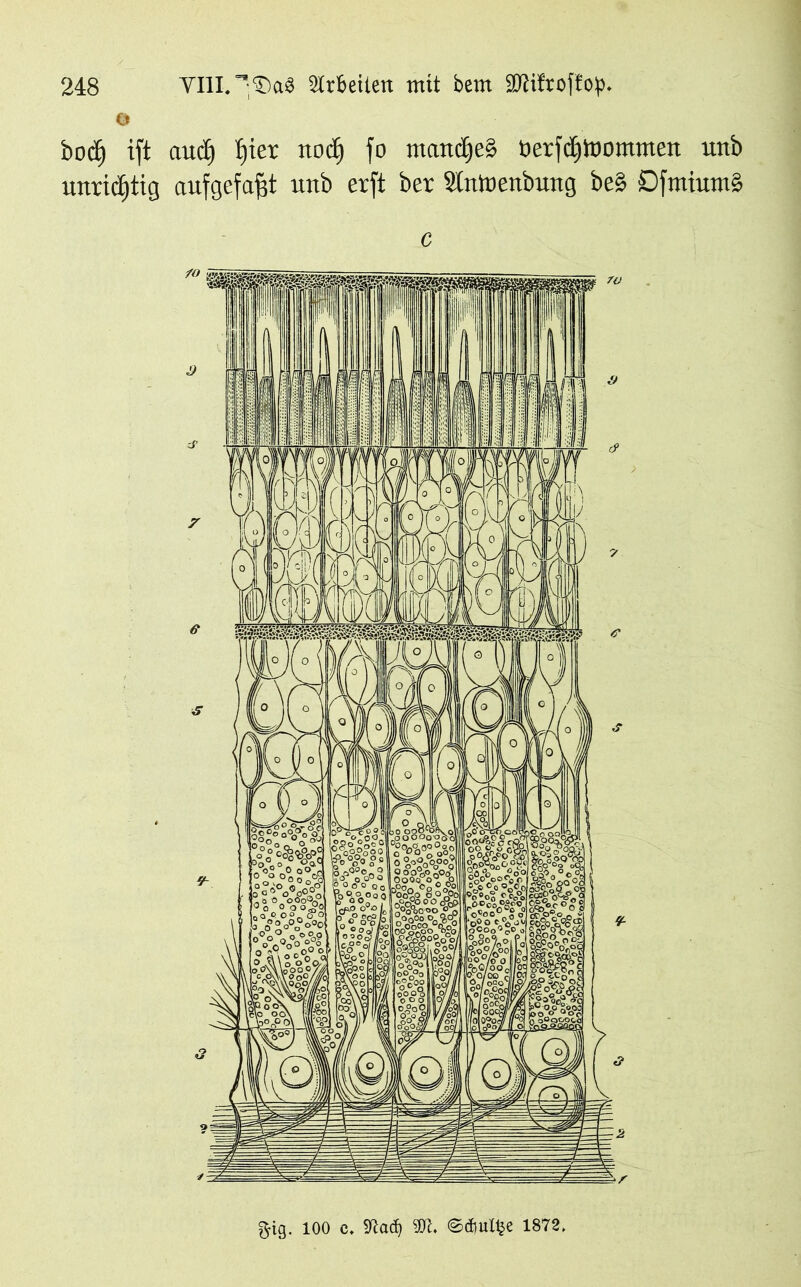 © bocf) ift aud) Ijier ttodj jo ntattcfjeS öerfc^toomntett uttb unrichtig aufgefaftt uttb erjt ber 3tooettbuttg be£ öfmiumä c g-tg. 100 c, 9K. ©dnil^e 1872,