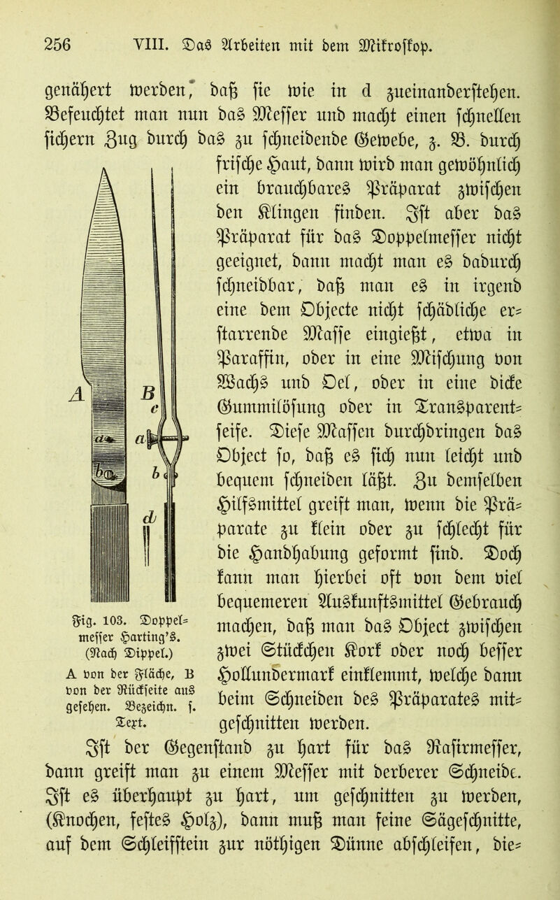 genähert Werben,' baff fie Wie in d gueinanberftefjen. SBefeudjtet man nun ba§ SOceffer unb ntadjt einen fdjneßen fiebern 3U3 burdj ba§ gu fdjneibenbe ©eWebe, g. 83. burdj frifdje ,*paut, bann Wirb man geWöijntidj ein brauchbares ißräparat gwifdjen ben klingen finben. $ft aber baS Präparat für baS Toppdmeffer nidjt geeignet, bann madjt man e§ baburdj fdjneibbar, bap man eS in irgenb eine bem Objecte nidjt fdjäblidje er= ftarrenbe ÜÖlaffe eingiefjt, etwa in ißaraffin, ober in eine SDiifdjung üon SBadjS unb Oet, ober in eine biefe ©ummitöfung ober in Transparents feife. Tiefe SDlaffen burdjbringen baS Object fo, bap eS fidj nun (eidjt unb bequem fdjneiben täfst. 3h bemfelben ^ilfSmittet greift man, Wenn bie bj3rä= parate gu ftein ober gu fdjiedjt für bie ^anbtjabung geformt finb. Tod) fann man fjierbei oft üon bem Diel bequemeren SluSfunftSmittet ©ebraudj machen, baft man baS Object gwifdjen gWei ©tüddjen ®orf ober nodj beffer ^odunbermar! einftemmt, Wetdje bann beim ©djneiben beS Präparate» mits gefcfjnitten Werben. Sft ber ©egenftanb gu tjart für baS üiafirmeffer, bann greift man gu einem SOceffer mit herberer ©djneibc. Sft eS überhaupt gu f>art, um gefdjnitten gu Werben, (®nodjen, fefteS §otg), bann mitp man feine ©ägefdjnitte, auf bem ©ddeiffteiu gur uöttjigen Tünne abfdjteifen, bies pig. 103. SoWel» meffer £arting’§. ©ippet.) A üon ber gflädje, B toon ber IRücJfeite au§ gefefjetn SSegetd)«. f. Sejrt. ber