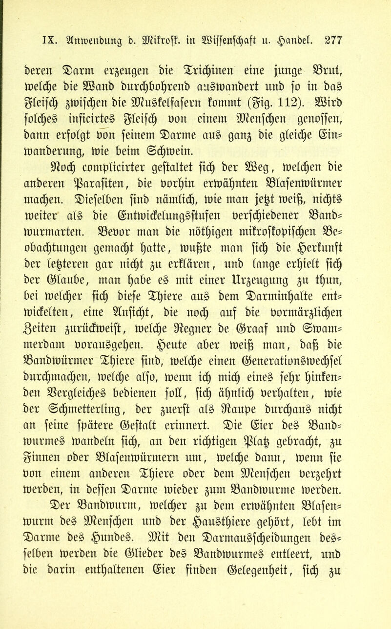 bereit ®arnt erzeugen bte ®rtd)tnen eine junge SSrut, inetche bie Sßanb bitrcpoljrenb au£inanbert nnb fo in ba§ gleifc^ ginifdOen bie 9J?u£felfafern fommt (gtg. 112). SBirb fold^e^ inficirtes? gteifdfj öon einem SKenfcfjen genoffen, bann erfolgt Ooit feinem ®arnte au§ gan$ bie gleite ©im inanberung, inte beim ©hinein. ■Jiodfj combKcirter geftattet fid£> ber Söeg, meinen bie anberen $ßarafiten, bie dorten erinäljnten SStafeninürmer machen. ®iefetben ftnb nämtidj, inte man jeijt ineifs, nic^tä ineiter at$ bie ©ntinicfetung^ftufen berfctjiebener S5anb^ innrmarten. S3eöor man bte nötigen mifroffopifctjen 93e- obactjtungen gemacht E)atte f inu^te man fid^ bie §er!nnft ber teueren gar ittdfjt $u erftären, nnb tauge erhielt fid^ ber ©taube, man Ifabe e$ mit einer Urzeugung jn tt)nn, bet inetdfjer ftcfj btefe ®t)iere au£ bem ®armin^atte ent^ inicfetten, eine Stuftet, bie noctj auf bie öormär^tid^en feiten ^urüclineift, inetd^e Gegner be ©raaf nnb ©inatm merbam oorau£gel)en. £>eute aber inei§ man, bafj bie S3anbmürrner ®t)iere ftnb, inetctje einen ©eneration^ined^fet bnrd^mad^en, inetctje atfo, inenn ict) midt) eineä fe^r tyrnten? ben Sergteicfye^ bebieneit foH, ftdjj ätjntict) Uertjatten, inte ber ©dfjmetterting, ber juerfi afö ^anpe burd£jau§ nid(jt an feine fpätere ©eftatt erinnert. ®ie ©ier be§ 33anb= inurmeg inanbetn ftd^, an ben richtigen 5ßta| gebraut, jn ginnen ober Stafeitinürmern um, ineiche bann, inenn fte non einem anberen ®f)iere ober bem 2Kenfdt)en berührt inerben, in beffen ®arme mieber ^unt S3anbinnrme inerben. ®er 93anbinurm, inetcher jn bem ermähnten SStafem iourm be£ üDienfchett nnb ber £au£tt)iere gehört, lebt im ®arnte be§ $unbe§. Sßit ben ®armau£fReibungen be3* fetben inerben bie ©tieber be§ 93anbmurnte£ entteert, nnb bie barin enthaltenen ©ier ftnben ©etegen^eit, ftd^ ju