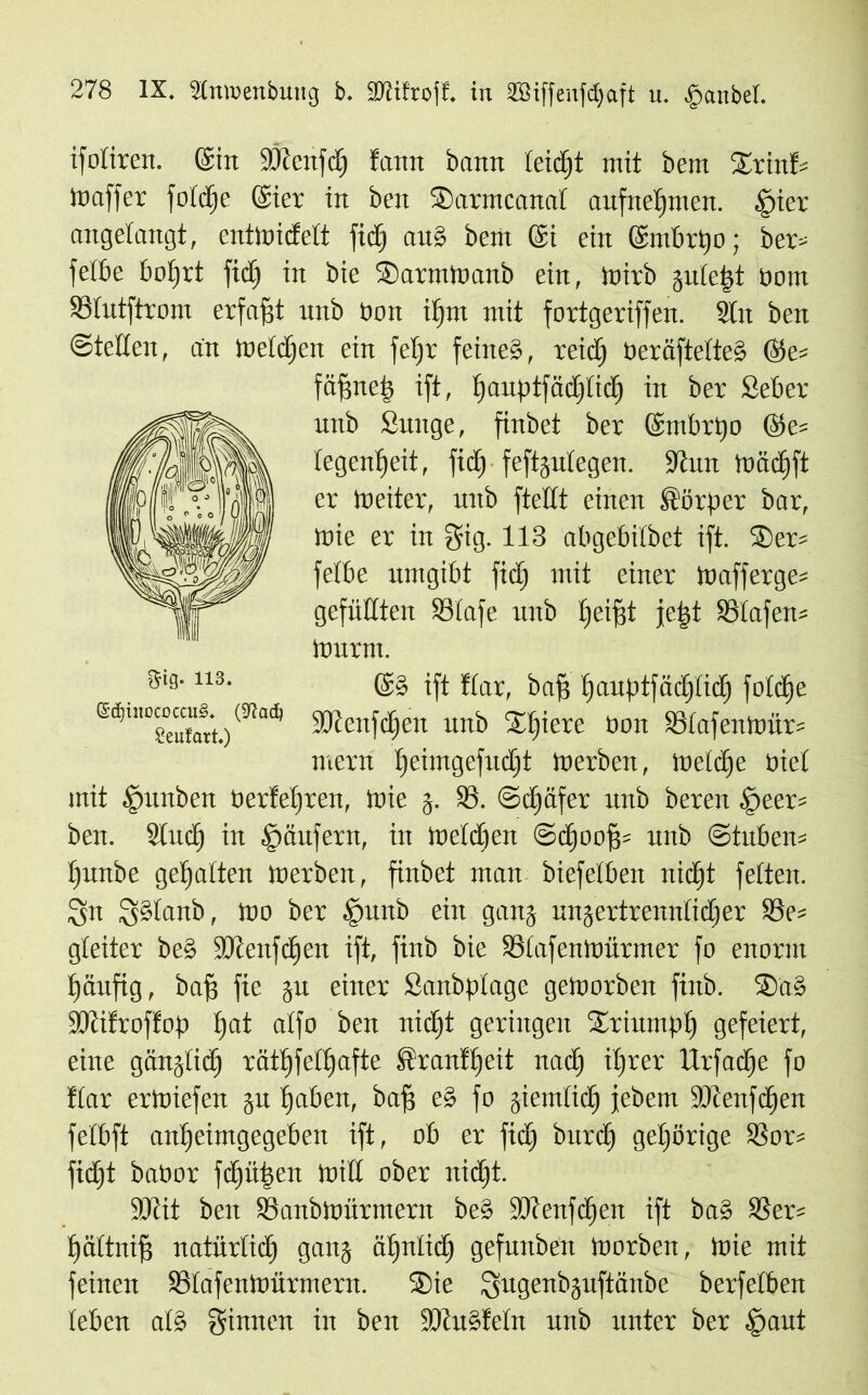 ifotiren. ©in ÜÖtcnfdj fattn bann leidjt mit bem Srinf» toaffer foldje Siet in beit Sarincanal aufneljmen. .Spier angelangt, entwidelt fid) au§ bent ©i ein ©mbrpo; ber» felbe boljrt fiel) in bie Sarmwanb ein, wirb gulc^t born SBlutftrom erfaßt unb bon ifjrn mit fortgeriffen. 3lit ben (Steden, an Weldjen ein feljr feine?, reidj beräfteltc? ©e» fäftneg ift, Ijauptfädjlidj in ber Seber unb Smtge, finbet ber ©mbrpo ®c» legenljeit, fid) feftjülegen. 9tun Wädjft er Weiter, uttb ftedt einen Körper bar, Wie er in gig. 113 abgebilbet ift. Ser» felbe umgibt fid) mit einer Wafferge» gefüllten SSlafe unb Ijeifst jetst $8Iafen» Wurm. ©§ ift flar, baff Ijauptfädjlidj foldje eef)niococtu0..)(3ia<% 50jen^en inib Spiere bon S3lafenWür» mern l)eimgefud)t Werben, Welche biel mit £mnben berfeljren, wie $. S3. Schäfer unb beren ipeer» ben. $ludj in Raufern, in Weldjen Sdjoof?» unb Stuben» l)unbe gehalten Werben, finbet man biefelben nidjt feiten. g§lanb, tob ber Ipunb ein ganj unjertrennlidjer S3e» gleiter be? SKenfcfjen ift, finb bie SSlafenWürmer fb enorm Ijäufig, bafj fie ju einer Sanbplage geworben finb. Sa? SDtifroffop l)at alfo ben nidjt geringen Sriumpl) gefeiert, eine gänjlidj rätfjfelljafte Sranfljeit nad) iljrer llrfadjc fo flar erWiefen 31t Ijaben, bafj e§ fo jiemlidj jebem ÜDcenfdjen felbft anljeimgegeben ift, ob er fid) burd) gehörige Sor» fidjt babor fd)üi)en Wid ober nidjt. 9Kit ben SSanbWürmern bc? SJtenfdjen ift ba§ SSer» f)ältni^ natürlich ganj äljnlidj gefunben Worben, Wie mit feinen SSlafenWürmern. Sie $ugenbäuftänbe berfelben leben als ginnen in ben fdhtgfeln unb unter ber §aut