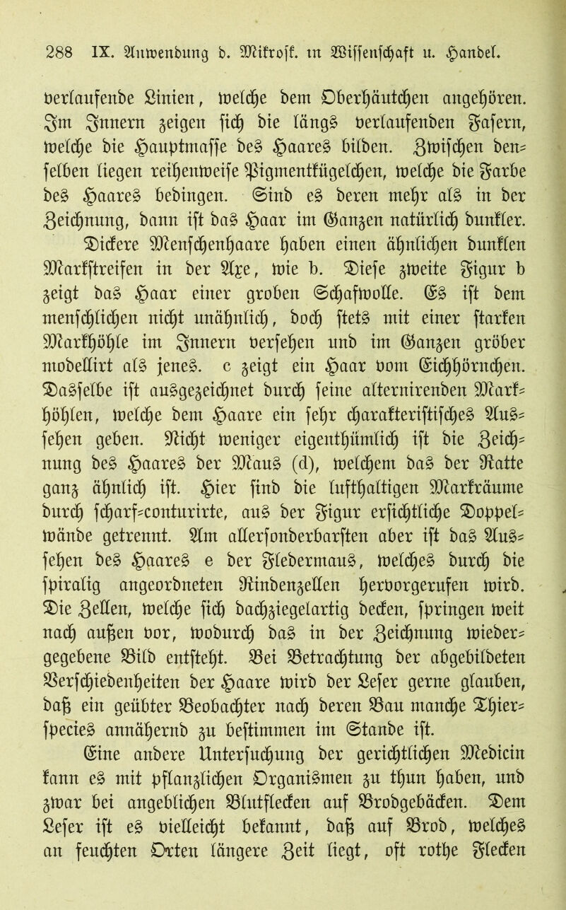 berfaufextbe Sinien, meldje bem Dberhäutdjen angeboren. 5>m Innern geigen ficf) bie läng» öerlaufenben fjafern, meldhe bie .'paupfmaffe beg fpaareg bilben. gmifdhen ben= felben liegen reihenmeife ißigmentlügeldEjen, tneldje bie garbe beg §aareg bebingen. @inb eg beren mef)r alg in ber Zeichnung, bann ift bag hpaar im ©angen natürlich bunfler. Sicfere Btenfdhenhaare haben einen ähnlichen bunflen Biartftreifen in ber Slje, mie b. ®iefe gmeite gigur b geigt bag .'paar einer groben ©djafmode. @g ift bem menfcl)(tcljen nicht unähnlich, bocl) ftet§ mit einer ftarlen 3}iarf^öl)le im Qnnern üerf elfen unb im ©angen gröber mobedirt als jene», c geigt ein ipaar bont ©id)()öntd)en. Sagfelbe ift auggegeidhnet burct) feine alternirenben 3}catf= l)öl)lett, mctdje bem §aare ein fetjr djaralteriftifd)eg 2tu§= fel)en geben. -Jticfjt toeniger eigentümlich ift bie ,8eicfj= nung beg ^aareg ber SÖtaug (d), meldhem bag ber fftatte gang ä^nlid^ ift. |>ier finb bie lufthaltigen iOtarfräume burdh fdjarf==conturirte, aug ber gigur erfidhtlidfje ®oppel= mänbe getrennt. 21m aderfonberbarften aber ift bag 21ug= fehen beg £>aareg e ber glebermaug, meldheg burdh fpiratig angeorbneten Dtinbengeden hei£:öorgerufen mirb. ®ie meldhe fiel) bacljgiegelartig beefert, fpringen meit nach auffen bor, tooburdh bag in ber ßeidhnung mieber* gegebene Bilb entfteht. Bei Betrachtung ber abgebilbeten SSerfd^iebenheiten ber bpaare mirb ber Sefer gerne glauben, baf? ein geübter Beobachter nadh beren Bau manche fpecieg annähernb gu beftimmen im ©taube ift. (Sine anbere Unterfucljung ber gerichtlichen idlebicin fann eg mit pflanglichen Drganigmen gu thun haben, unb gtoar bei angeblidhen Blutflecken auf Brobgebäcfen. Sem Sefer ift eg biedeidht bekannt, bah auf äfrob, meldheg an feuchten Orten längere Sät liegt, oft rothe Sieden