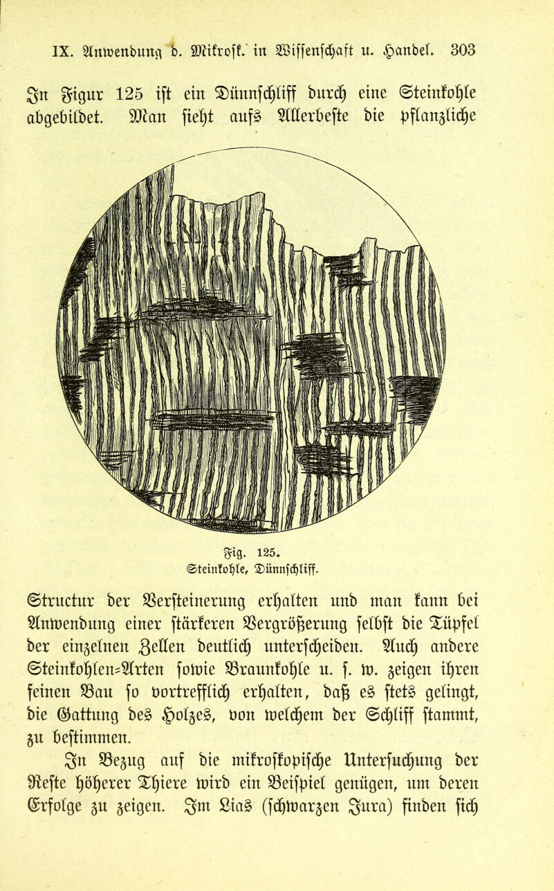 gn gignr 125 ift ein ®ünnfc£)liff bnrdj eine ©teinfoljte abgebilbet. Wart fielet anf£ 2ltterbefte bie üftanjlidje m- 125. (Steiitfoljle, 2)imnfdjliff. ©trnctnr ber SSerfteinermtg erhalten nnb man fann bei Slntoenbnng einer ftärferen 83ergröf$ernng felbft bie Tüpfel ber einzelnen Setten bentlidj nnterfd) eiben. Sind) anbere ©teinfoljlemSlrten foioie SSrannfoljle n. f. ft). jeigen ifyren feinen 33an fo bortrefflid^ erhalten, baft e£ ftet§ gelingt, bie ©attnng be£ $olje&, Don ineldjent ber ©djliff ftammt, §n beftimmen. gn SSe^ng anf bie mifroffopifd^e Unterfndjnng ber 9tefte ^ölierer Spiere ftnrb ein SSeifpiel genügen, nm beren ©rfolge $n geigen, gm Sia£ (fdjftmrjen gnra) finben fid^