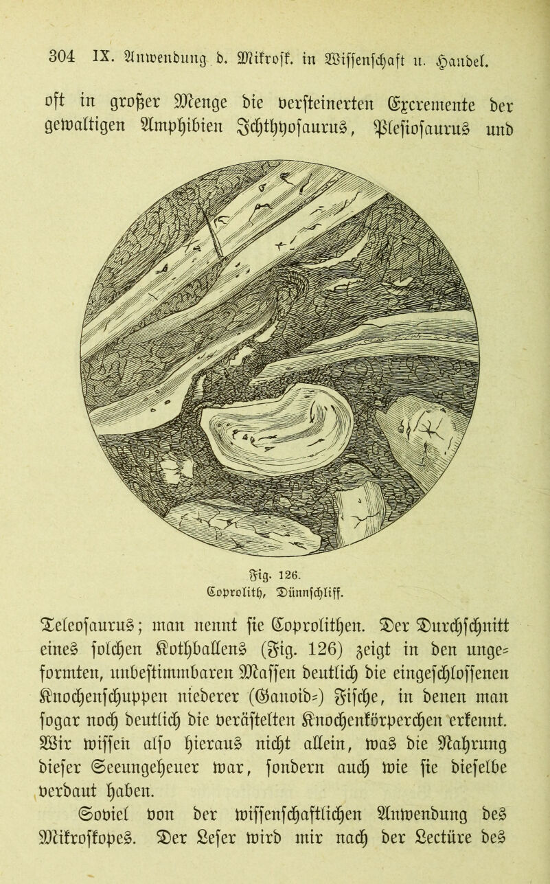 oft in großer 50tenge bie öerfteinerten (Sjrcremente ber gewaltigen Slmptpbien 3d)tt)l)ofauru», pefiofauruS unb Sis- 126- ßoprolitlj, 2)üttnfcfyliff. SEeleofauruS; man nennt fie ©oprotitfjen. £er $urd)fdjuitt eine§ folgen ®otI)baßen§ (gig. 126) geigt in ben uitge* formten, unbeftimmbaren ÜKaffen beutiid) bie eingefdftoffenen ftnodjenfdjiippen nieberer (@anoib=) gifdfe, in benen man fogar nod) beutiid) bie üeräfieiten ®nodjenförperdjen erfennt. SBir toiffen aifo IfierauS nidft allein, ioa§ bie •Jta'ijrung biefer ©eeungeijcucr mar, fonbern and) ioie fie biefelbe Oerbaut fprben. ©ooiet Oon ber toiffenfdjaftltdjen Slntoenbung beS ÜDtifroffopeS. SDer Sefer toirb mir nad) ber Seetüre be§