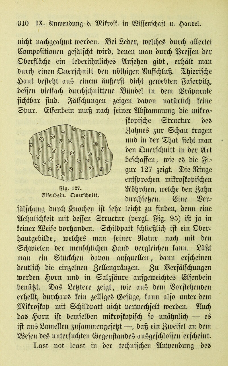 nicE)t nadjgeafjmt Werben. 83ei Seber, Wetdje§ burdj aEerlei ©ompofitionen gefätfdjt Wirb, benen man burdj ißreffen ber Dberftädje ein teberäf)ntidje§ Stnfetjen gibt, erhält man bitrd) einen Duerfdjnitt ben nötigen Stuffdjtufj. Sifjierifdje tpaut befielt au§ einem äufjerft bidjt gewebten ffaferpitg, beffen bielfad) burdjfdjnittene 83iutbe( in bem Präparate fidjtbar finb. gätfdjungen geigen babon natürtidj feine ©pur. ©tfenbein muff nad) feiner Sfbftammung bie mifro= ffopifdje ©tructur be§ 3a^ne§ gut ©djau tragen unb in ber £fjat fieljt man ben Ouerfd^nitt in ber Sfrt begaffen, Wie e§ bie gi= gur 127 geigt. ®ie 9tinge entfpredjen mifroffopifdjen 3*9-127 ■ Ütöljrdjen, Wetdje ben .ßaljn ©Ifenbeitt. Ouer(d,„itt. burc^en. ©ine ®er* fätfdjung bitrd) ®nod)en ift fefjr teidjt gn finben, benn eine Sletjntidjfeit mit beffen ©tructur (oergl. gig. 95) ift ja in feiner SBeife bortjanben. ©djiibpatt fcfjtiefjticf) ift ein Dber= fjautgebifbe, WetdjeS man feiner Statur nad) mit ben ©djwieten ber menfdjticfjen §anb bergteidjen fann. Söfft man ein ©tüddjen babon aufqueEen, bann erfdjeineit beuttidj bie eingefnen ßeEengrängen. SSerfätfdjungen Werben fporn unb in ©afgfäure aufgeWeidjteä ©tfenbein benüijt. 2)a§ Sejdere geigt, wie au§ bem 33orftefjenben erljeEt, burdjau§ fein geifigeS ©efiige, fann affo unter bem ERifroffop mit ©djitbpatt nidjt ber Wed) fett Werben. Studj ba§ £mrn ift bemfetben ntifroffopifdj fo unäljntidj — e§ ift au§ SameEen gufantmcngefefet —, baff ein ^Weifet an bem SBefen be§ unterfudjten ©egenftanbe§ au§gefdjtoffen erfd)eint. Last not least in ber tedjnifdjen Stnwenbung be§