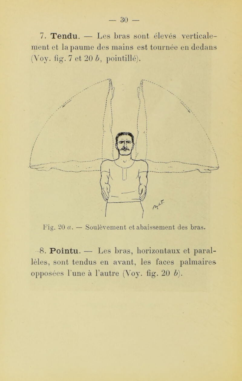 7. Tendu. — Les l)ras sont élevés verticale- meiit et la})aumc des mains est tournée en dedans (\’oy. lig. 7 et 20 ])oin(illé). Fig. 20 a. — Soulèvement et abaissement des bras. -8. Pointu. — Les bras, horizontaux et paral- lèles, sont tendus en avant, les faces palmaires opposées l’une à l’autre (Voy. fig. 20