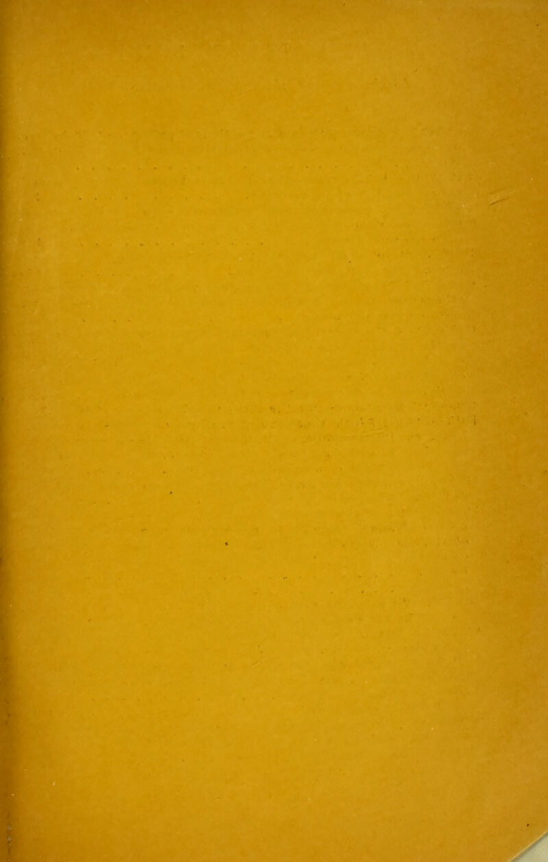 r I I f I } I I i • •.i