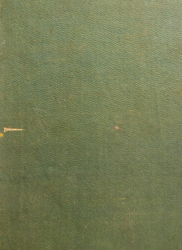 digitised image 1