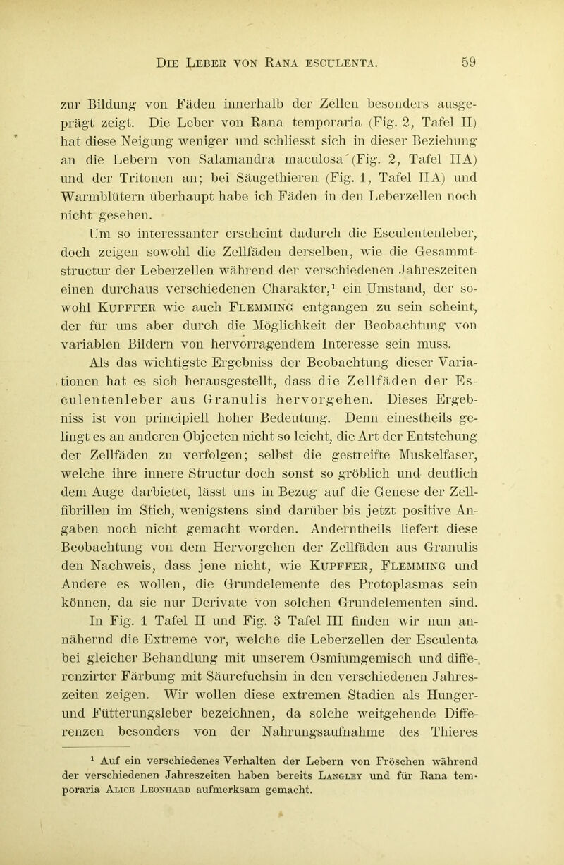 zur Bildung von Fäden innerhalb der Zellen besonders ausge- prägt zeigt. Die Leber von Rana temporaria (Fig. 2, Tafel II) hat diese Neigung weniger und scbliesst sich in dieser Beziehung an die Lebern von Salamandra maculosa'(Fig. 2, Tafel IIA) und der Tritonen an; bei Säugethieren (Fig. 1, Tafel IIA) und Warmblütern überhaupt habe ich Fäden in den Leberzellen noch nicht gesehen. Um so interessanter erscheint dadurch die Esculentenleber, doch zeigen sowohl die Zellfäden derselben, wie die Gesammt- structur der Leberzellen während der verschiedenen Jahreszeiten einen durchaus verschiedenen Charakter,1 ein Umstand, der so- wohl Kupffer wie auch Flemming entgangen zu sein scheint, der für uns aber durch die Möglichkeit der Beobachtung von variablen Bildern von hervorragendem Interesse sein muss. Als das wichtigste Ergebniss der Beobachtung dieser Varia- tionen hat es sich herausgestellt, dass die Zellfäden der Es- culentenleber aus Granulis hervorgehen. Dieses Ergeb- niss ist von principiell hoher Bedeutung. Denn einestheils ge- lingt es an anderen Objecten nicht so leicht, die Art der Entstehung der Zellfäden zu verfolgen; selbst die gestreifte Muskelfaser, welche ihre innere Structur doch sonst so gröblich und deutlich dem Auge darbietet, lässt uns in Bezug auf die Genese der Zell- fibrillen im Stich, wenigstens sind darüber bis jetzt positive An- gaben noch nicht gemacht worden. Anderntheils liefert diese Beobachtung von dem Hervorgehen der Zellfäden aus Granulis den Nachweis, dass jene nicht, wie Kupffer, Flemming und Andere es wollen, die Grundelemente des Protoplasmas sein können, da sie nur Derivate von solchen Grundelementen sind. In Fig. 1 Tafel II und Fig. 3 Tafel III finden wir nun an- nähernd die Extreme vor, welche die Leberzellen der Esculenta bei gleicher Behandlung mit unserem Osmiumgemisch und diffe-, renzirter Färbung mit Säurefuchsin in den verschiedenen Jahres- zeiten zeigen. Wir wollen diese extremen Stadien als Hunger- und Fütterungsleber bezeichnen, da solche weitgehende Diffe- renzen besonders von der Nahrungsaufnahme des Thieres 1 Auf ein verschiedenes Verhalten der Lebern von Fröschen während der verschiedenen Jahreszeiten haben bereits Langley und für Rana tem- poraria Alice Leonhard aufmerksam gemacht.