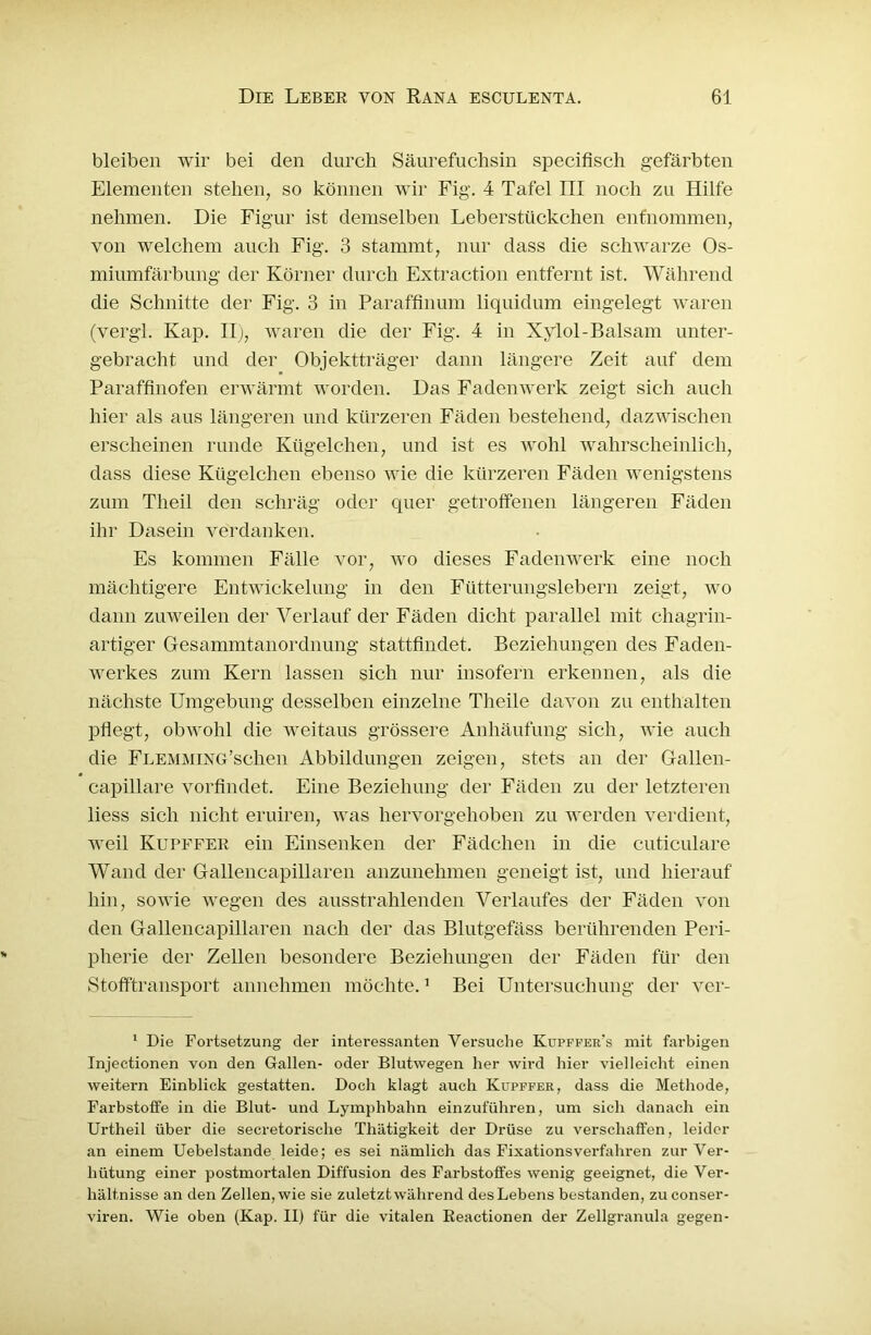 bleiben wir bei den durch Säurefuchsin specifisch gefärbten Elementen stehen, so können wir Fig. 4 Tafel III noch zu Hilfe nehmen. Die Figur ist demselben Leberstückchen entnommen, von welchem auch Fig. 3 stammt, nur dass die schwarze Os- miumfärbung der Körner durch Extraction entfernt ist. Während die Schnitte der Fig. 3 in Paraffinuni liquidum eingelegt waren (vergl. Kap. II), waren die der Fig. 4 in Xylol-Balsam unter- gebracht und der Objektträger dann längere Zeit auf dem Paraffinofen erwärmt worden. Das Fadenwerk zeigt sich auch hier als aus längeren und kürzeren Fäden bestehend, dazwischen erscheinen runde Kügelchen, und ist es wohl wahrscheinlich, dass diese Kügelchen ebenso wie die kürzeren Fäden wenigstens zum Theil den schräg oder quer getroffenen längeren Fäden ihr Dasein verdanken. Es kommen Fälle vor, wo dieses Fadenwerk eine noch mächtigere Entwickelung in den Fütterungslebern zeigt, wo dann zuweilen der Verlauf der Fäden dicht parallel mit chagrin- artiger Gesammtanordnung stattfindet. Beziehungen des Faden- werkes zum Kern lassen sich nur insofern erkennen, als die nächste Umgebung desselben einzelne Theile davon zu enthalten pflegt, obwohl die weitaus grössere Anhäufung sich, wie auch die FLEMMiNG’schen Abbildungen zeigen, stets an der Gallen- capillare vorfindet. Eine Beziehung der Fäden zu der letzteren liess sich nicht eruiren, was hervorgehoben zu werden verdient, weil Kupffek ein Einsenken der Fädchen in die cuticulare Wand der Gallencapillaren anzunehmen geneigt ist, und hierauf hin, sowie wegen des ausstrahlenden Verlaufes der Fäden von den Gallencapillaren nach der das Blutgefäss berührenden Peri- pherie der Zellen besondere Beziehungen der Fäden für den Stofftransport annehmen möchte.1 Bei Untersuchung der ver- 1 Die Fortsetzung der interessanten Versuche Kupffer's mit farbigen Injectionen von den Gallen- oder Blutwegen her wird hier vielleicht einen weitern Einblick gestatten. Doch klagt auch Kupffer, dass die Methode, Farbstoffe in die Blut- und Lymphbahn einzuführen, um sich danach ein Urtheil über die secretorische Thätigkeit der Drüse zu verschaffen, leider an einem Uebelstande leide; es sei nämlich das Fixationsverfahren zur Ver- hütung einer postmortalen Diffusion des Farbstoffes wenig geeignet, die Ver- hältnisse an den Zellen, wie sie zuletzt während des Lebens bestanden, zu conser- viren. Wie oben (Kap. II) für die vitalen Reactionen der Zellgranula gegen-