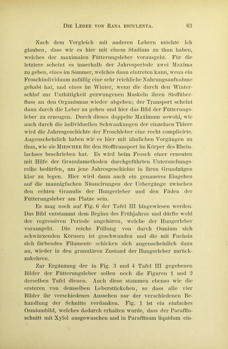 Nach dem Vergleich mit anderen Lebern möchte ich glauben, dass wir es hier mit einem Stadium zu thun haben, welches der maximalen Fütterungsleber vorausgeht. Für die letztere scheint es innerhalb der Jahresperiode zwei Maxima zu geben, eines im Sommer, welches dann eintreten kann, wenn ein Froschindividuum zufällig eine sehr reichliche Nahrungsaufnahme gehabt hat, und eines im Winter, wenn die durch den Winter- schlaf zur Unthätigkeit gezwungenen Muskeln ihren Stoftuber- liuss an den Organismus wieder abgeben; der Transport scheint dann durch die Leber zu gehen und hier das Bild der Fütterungs- leber zu erzeugen. Durch dieses doppelte Maximum sowohl, wie auch durch die individuellen Schwankungen der einzelnen Thiere wird die Jahresgeschichte der Froschleber eine recht complicirte. Augenscheinlich haben wir es hier mit ähnlichen Vorgängen zu thun, wie sie Miescher für den Stofftransport im Körper des Rhein- lachses beschrieben hat. Es wird beim Frosch einer erneuten mit Hilfe der Granulamethoden durchgeführten Untersuchungs- reihe bedürfen, um jene Jahresgeschichte in ihren Grundzügen klar zu legen. Hier wird dann auch ein genaueres Eingehen auf die mannigfachen Nüancirungen der Uebergänge zwischen den echten Granulis der Hungerleber und den Fäden der Fütterungsleber am Platze sein. Es mag noch auf Fig. 6 der Tafel III hingewiesen werden. Das Bild entstammt dem Beginn des Frühjahres und dürfte wohl der regressiven Periode angehören, welche der Hungerleber vorausgeht. Die reiche Füllung von durch Osmium sich schwärzenden Körnern ist geschwunden und die mit Fuchsin sich färbenden Filamente schicken sich augenscheinlich dazu an, wieder in den granulären Zustand der Hungerleber zurück- zukehren. Zur Ergänzung der in Fig. 3 und 4 Tafel III gegebenen Bilder der Fütterungsleber sollen noch die Figuren 1 und 2 derselben Tafel dienen. Auch diese stammen ebenso wie die ersteren von demselben Leberstückchen, so dass alle vier Bilder ihr verschiedenes Aussehen nur der verschiedenen Be- handlung der Schnitte verdanken. Fig. 1 ist ein einfaches Osmiumbild, welches dadurch erhalten wurde, dass der Paraffin- schnitt mit Xylol ausgewaschen und in Paraffinum liquidum ein-