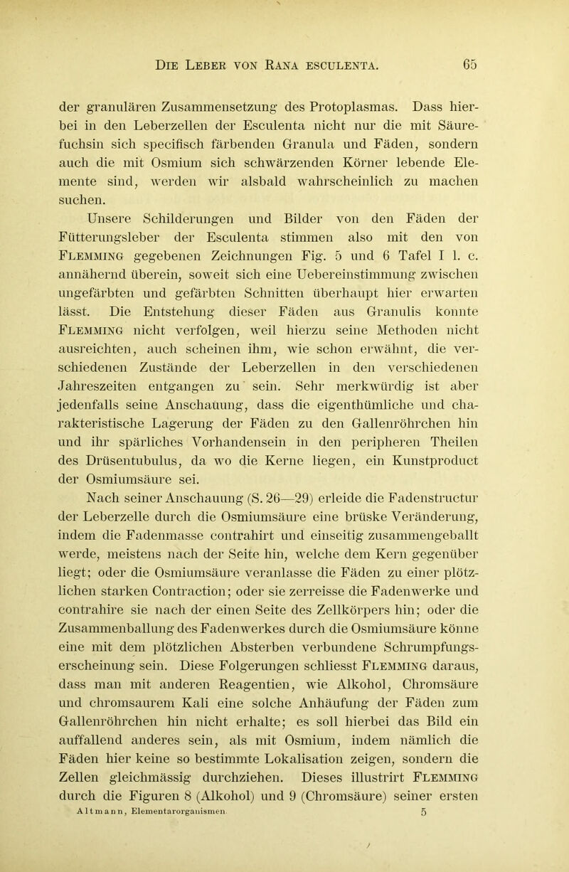 der granulären Zusammensetzung des Protoplasmas. Dass hier- bei in den Leberzellen der Esculenta nicht nur die mit Säure- fuchsin sich specifisch färbenden Granula und Fäden, sondern auch die mit Osmium sich schwärzenden Körner lebende Ele- mente sind, werden wir alsbald wahrscheinlich zu machen suchen. Unsere Schilderungen und Bilder von den Fäden der Fütterungsleber der Esculenta stimmen also mit den von Flemming gegebenen Zeichnungen Fig. 5 und 6 Tafel I 1. c. annähernd überein, soweit sich eine Uebereinstimmung zwischen ungefärbten und gefärbten Schnitten überhaupt hier erwarten lässt. Die Entstehung dieser Fäden aus Granulis konnte Flemming nicht verfolgen, weil hierzu seine Methoden nicht ausreichten, auch scheinen ihm, wie schon erwähnt, die ver- schiedenen Zustände der Leberzellen in den verschiedenen Jahreszeiten entgangen zu sein. Sehr merkwürdig ist aber jedenfalls seine Anschauung, dass die eigenthümliche und cha- rakteristische Lagerung der Fäden zu den Gallenröhrchen hin und ihr spärliches Vorhandensein in den peripheren Theilen des Drüsentubulus, da wo die Kerne liegen, ein Kunstproduct der Osmiumsäure sei. Nach seiner Anschauung (S. 26—29) erleide die Fadenstructur der Leberzelle durch die Osmiumsäure eine brüske Veränderung, indem die Fadenmasse contrahirt und einseitig zusammengeballt werde, meistens nach der Seite hin, welche dem Kern gegenüber liegt; oder die Osmiumsäure veranlasse die Fäden zu einer plötz- lichen starken Contraction; oder sie zerreisse die Fadenwerke und contrahire sie nach der einen Seite des Zellkörpers hin; oder die Zusammenballung des Fadenwerkes durch die Osmiumsäure könne eine mit dem plötzlichen Absterben verbundene Schrumpfungs- erscheinung sein. Diese Folgerungen schliesst Flemming daraus, dass man mit anderen Reagentien, wie Alkohol, Chromsäure und chromsaurem Kali eine solche Anhäufung der Fäden zum Gallenröhrchen hin nicht erhalte; es soll hierbei das Bild ein auffallend anderes sein, als mit Osmium, indem nämlich die Fäden hier keine so bestimmte Lokalisation zeigen, sondern die Zellen gleichmässig durchziehen. Dieses illustrirt Flemming durch die Figuren 8 (Alkohol) und 9 (Chromsäure) seiner ersten Altmann, Elementarorganismen. 5