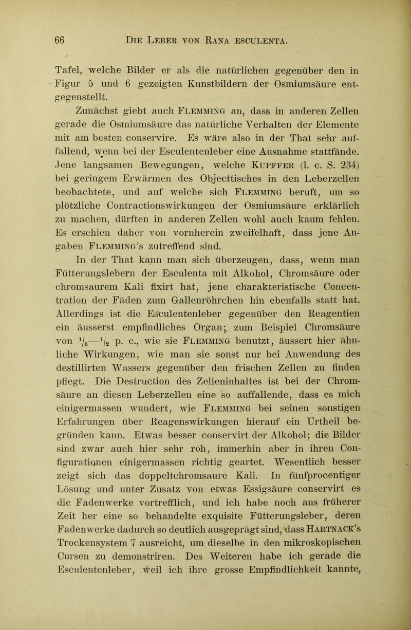 Tafel7 welche Bilder er als die natürlichen gegenüber den in Figur 5 und 6 gezeigten Kunstbildern der Osmiumsäure ent- gegenstellt. Zunächst giebt auch Flemming an, dass in anderen Zellen gerade die Osmiumsäure das natürliche Verhalten der Elemente mit am besten conservire. Es wäre also in der That sehr auf- fallend, wenn bei der Esculentenleber eine Ausnahme stattfände. Jene langsamen Bewegungen, welche Kupffer (1. c. S. 234) bei geringem Erwärmen des Objecttisches in den Leberzellen beobachtete, und auf welche sich Flemming beruft, um so plötzliche Contractionswirkungen der Osmiumsäure erklärlich zu machen, dürften in anderen Zellen wohl auch kaum fehlen. Es erschien daher von vornherein zweifelhaft, dass jene An- gaben Flemming’s zutreffend sind. Tn der That kann man sich überzeugen, dass, wenn man Fütterungslebern der Esculenta mit Alkohol, Chromsäure oder chromsaurem Kali fixirt hat, jene charakteristische Concen- tration der Fäden zum Gallenröhrchen hin ebenfalls statt hat. Allerdings ist die Esculentenleber gegenüber den Reagentien ein äusserst empfindliches Organ;, zum Beispiel Chromsäure von 1/6—1/2 p. c., wie sie Flemming benutzt, äussert hier ähn- liche Wirkungen, wie man sie sonst nur bei Anwendung des destillirten Wassers gegenüber den frischen Zellen zu finden pflegt. Die Destruction des Zelleninhaltes ist bei der Chrom- säure an diesen Leberzellen eine so auffallende, dass es mich einigermassen wundert, wie Flemming bei seinen sonstigen Erfahrungen über Reagenswirkungen hierauf ein Urtheil be- gründen kann. Etwas besser conservirt der Alkohol; die Bilder sind zwar auch hier sehr roh, immerhin aber in ihren Con- figurationen einigermassen richtig geartet. Wesentlich besser zeigt sich das doppeltchromsaure Kali. In fiinfprocentiger Lösung und unter Zusatz von etwas Essigsäure conservirt es die Faden werke vortrefflich, und ich habe noch aus früherer Zeit her eine so behandelte exquisite Fütterungsleber, deren Fadenwerke dadurch so deutlich ausgeprägt sind, dass Hartnack’s Trockensystem 7 ausreicht, um dieselbe in den mikroskopischen Cursen zu demonstriren. Des Weiteren habe ich gerade die Esculentenleber, weil ich ihre grosse Empfindlichkeit kannte,