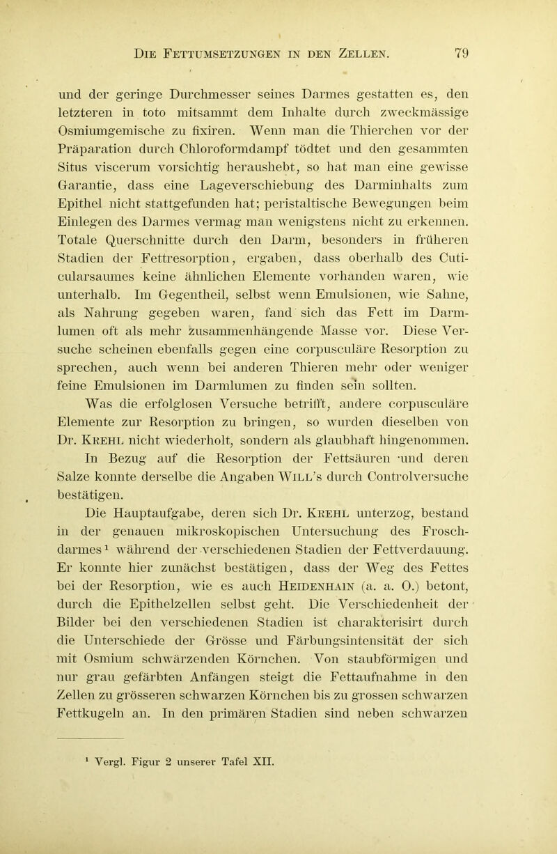 und der geringe Durchmesser seines Darmes gestatten es, den letzteren in toto mitsannnt dem Inhalte durch zweckmässige Osmiumgemische zu fixiren. Wenn man die Tliierchen vor der Präparation durch Chloroformdampf tödtet und den gesammten Situs viscerum vorsichtig heraushebt, so hat man eine gewisse Garantie, dass eine Lageverschiebung des Darminhalts zum Epithel nicht stattgefunden hat; peristaltische Bewegungen beim Einlegen des Darmes vermag man wenigstens nicht zu erkennen. Totale Querschnitte durch den Darm, besonders in früheren Stadien der Fettresorption, ergaben, dass oberhalb des Cuti- cularsaiunes keine ähnlichen Elemente vorhanden waren, wie unterhalb. Im Gegentheil, selbst wenn Emulsionen, wie Sahne, als Nahrung gegeben waren, fand sich das Fett im Darm- lumen oft als mehr zusammenhängende Masse vor. Diese Ver- suche scheinen ebenfalls gegen eine corpusculäre Resorption zu sprechen, auch wenn bei anderen Thieren mehr oder weniger feine Emulsionen im Darmlumen zu finden sein sollten. Was die erfolglosen Versuche betrifft, andere corpusculäre Elemente zur Resorption zu bringen, so wurden dieselben von Dr. Krehl nicht wiederholt, sondern als glaubhaft hingenonnnen. In Bezug auf die Resorption der Fettsäuren -und deren Salze konnte derselbe die Angaben Will’s durch Controlversuche bestätigen. Die Hauptaufgabe, deren sich Dr. Krehl unterzog, bestand in der genauen mikroskopischen Untersuchung des Frosch- darmes 1 während der verschiedenen Stadien der Fettverdauung. Er konnte hier zunächst bestätigen, dass der Weg des Fettes bei der Resorption, wie es auch Heidenhain (a. a. 0.) betont, durch die Epithelzellen selbst geht. Die Verschiedenheit der Bilder bei den verschiedenen Stadien ist charakterisirt durch die Unterschiede der Grösse und Färbungsintensität der sich mit Osmium schwärzenden Körnchen. Von staubförmigen und nur grau gefärbten Anfängen steigt die Fettaufnahme in den Zellen zu grösseren schwarzen Körnchen bis zu grossen schwarzen Fettkugeln an. In den primären Stadien sind neben schwarzen 1 Vergl. Figur 2 unserer Tafel XII.