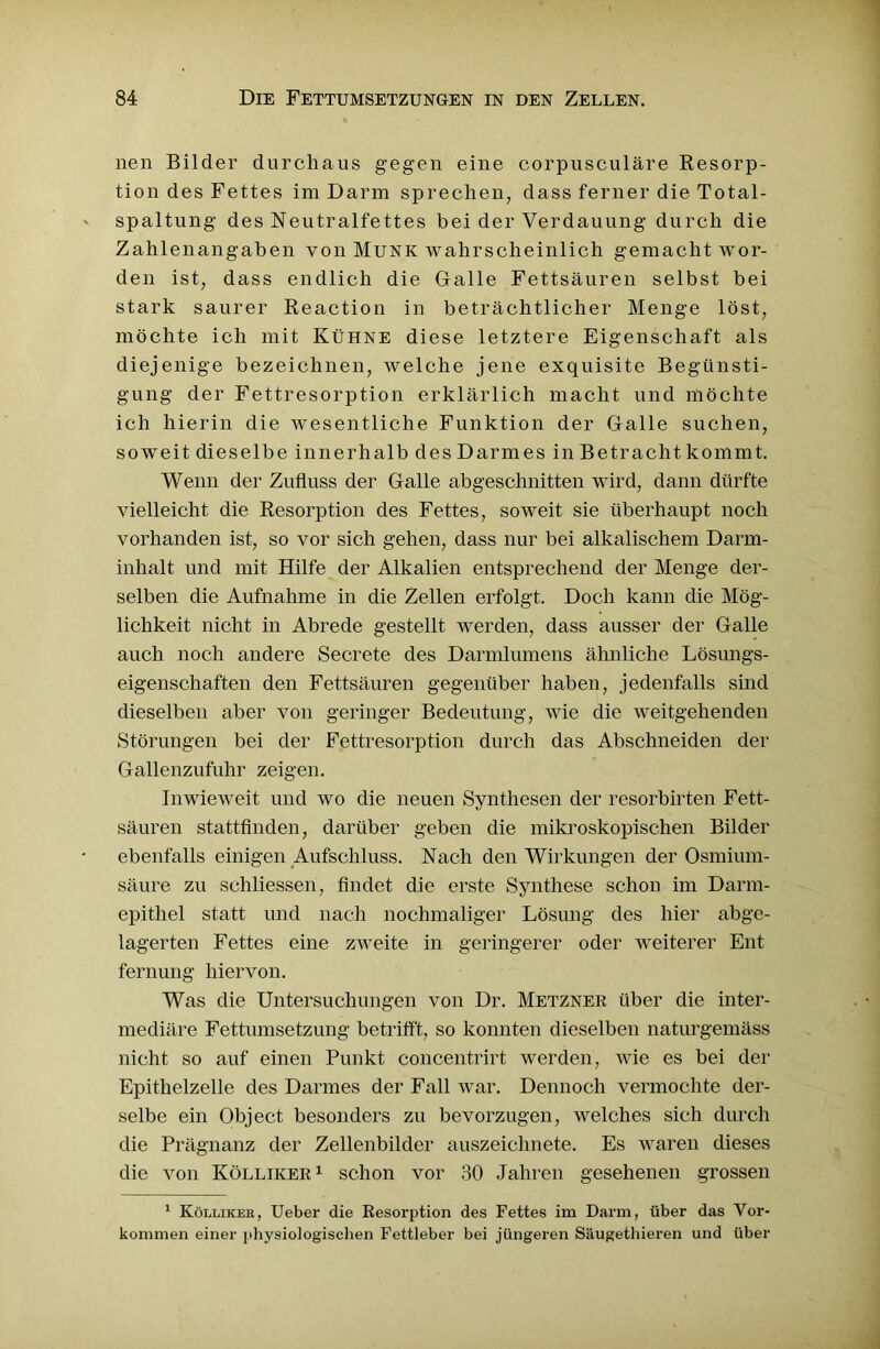 nen Bilder durchaus gegen eine corpusculäre Resorp- tion des Fettes im Darm sprechen, dass ferner die Total- spaltung des Neutralfettes bei der Verdauung durch die Zahlenangaben von Munk wahrscheinlich gemacht wor- den ist, dass endlich die Galle Fettsäuren selbst bei stark saurer Reaction in beträchtlicher Menge löst, möchte ich mit Kühne diese letztere Eigenschaft als diejenige bezeichnen, welche jene exquisite Begünsti- gung der Fettresorption erklärlich macht und möchte ich hierin die wesentliche Funktion der Galle suchen, soweit dieselbe innerhalb des Darmes in Betracht kommt. Wenn der Zufluss der Galle abgeschnitten wird, dann dürfte vielleicht die Resorption des Fettes, soweit sie überhaupt noch vorhanden ist, so vor sich gehen, dass nur bei alkalischem Darm- inhalt und mit Hilfe der Alkalien entsprechend der Menge der- selben die Aufnahme in die Zellen erfolgt. Doch kann die Mög- lichkeit nicht in Abrede gestellt werden, dass ausser der Galle auch noch andere Secrete des Darmlumens ähnliche Lösungs- eigenschaften den Fettsäuren gegenüber haben, jedenfalls sind dieselben aber von geringer Bedeutung, wie die weitgehenden Störungen bei der Fettresorption durch das Abschneiden der Gallenzufuhr zeigen. Inwieweit und wo die neuen Synthesen der resorbirten Fett- säuren stattfinden, darüber geben die mikroskopischen Bilder ebenfalls einigen Aufschluss. Nach den Wirkungen der Osmium- säure zu schliessen, findet die erste Synthese schon im Darm- epithel statt und nach nochmaliger Lösung des hier abge- lagerten Fettes eine zweite in geringerer oder weiterer Ent fernung hiervon. Was die Untersuchungen von Dr. Metzner über die inter- mediäre Fettumsetzung betrifft, so konnten dieselben naturgemäss nicht so auf einen Punkt concentrirt werden, wie es bei der Epithelzelle des Darmes der Fall war. Dennoch vermochte der- selbe ein Object besonders zu bevorzugen, welches sich durch die Prägnanz der Zellenbilder auszeichnete. Es waren dieses die von Kölliker1 schon vor 30 Jahren gesehenen grossen 1 Kölliker, Ueber die Resorption des Fettes im Darm, über das Vor- kommen einer physiologischen Fettleber bei jüngeren Säugethieren und über