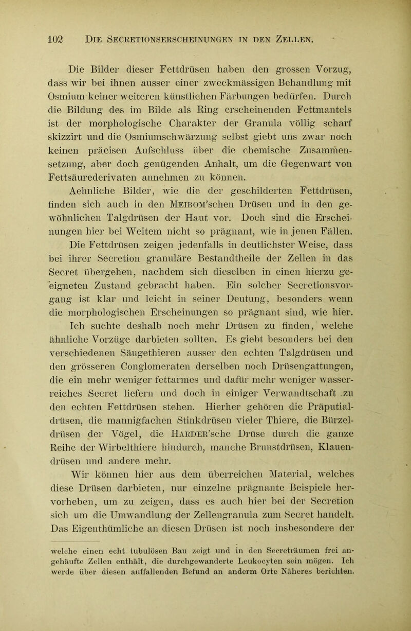 Die Bilder dieser Fettdrüsen haben den grossen Vorzug, dass wir bei ihnen ausser einer zweckmässigen Behandlung mit Osmium keiner weiteren künstlichen Färbungen bedürfen. Durch die Bildung des im Bilde als Ring erscheinenden Fettmantels ist der morphologische Charakter der Granula völlig scharf skizzirt und die Osmiumschwärzung selbst giebt uns zwar noch keinen präcisen Aufschluss über die chemische Zusammen- setzung, aber doch genügenden Anhalt, um die Gegenwart von Fettsäurederivaten annehmen zu können. Aehnliche Bilder, wie die der geschilderten Fettdrüsen, linden sich auch in den MEiBOM’schen Drüsen und in den ge- wöhnlichen Talgdrüsen der Haut vor. Doch sind die Erschei- nungen hier bei Weitem nicht so prägnant, wie in jenen Fällen. Die Fettdrüsen zeigen jedenfalls in deutlichster Weise, dass bei ihrer Secretion granuläre Bestandtheile der Zellen in das Secret übergehen, nachdem sich dieselben in einen hierzu ge- eigneten Zustand gebracht haben. Ein solcher Secretionsvor- gang ist klar und leicht in seiner Deutung, besonders wenn die morphologischen Erscheinungen so prägnant sind, wie hier. Ich suchte deshalb noch mehr Drüsen zu finden, welche ähnliche Vorzüge darbieten sollten. Es giebt besonders bei den verschiedenen Säugethieren ausser den echten Talgdrüsen und den grösseren Conglomeraten derselben noch Drüsengattungen, die ein mehr weniger fettarmes und dafür mehr weniger wasser- reiches Secret liefern und doch in einiger Verwandtschaft zu den echten Fettdrüsen stehen. Hierher gehören die Präputial- drtisen, die mannigfachen Stinkdrüsen vieler Thiere, die Bürzel- drüsen der Vögel, die HARDER’sche Drüse durch die ganze Reihe der Wirbelthiere hindurch, manche Brunstdrüsen, Klauen- drüsen und andere mehr. Wir können hier aus dem überreichen Material, welches diese Drüsen darbieten, nur einzelne prägnante Beispiele her- vorheben, um zu zeigen, dass es auch hier bei der Secretion sich um die Umwandlung der Zellengranula zum Secret handelt. Das Eigenthtimliche an diesen Drüsen ist noch insbesondere der welche einen echt tubulösen Bau zeigt und in den Secreträumen frei an- gehäufte Zellen enthält, die durchgewanderte Leukocyten sein mögen. Ich werde über diesen auffallenden Befund an anderm Orte Näheres berichten.