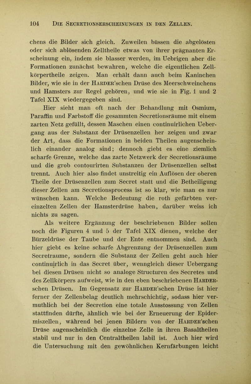 chens die Bilder sich gleich. Zuweilen büssen die abgelösten oder sich ablösenden Zelltheile etwas von ihrer prägnanten Er- scheinung ein, indem sie blasser werden, im Uebrigen aber die Formationen zunächst bewahren, welche die eigentlichen Zell- körpertheile zeigen. Man erhält dann auch beim Kaninchen Bilder, wie sie in der HAEDER’sclien Drüse des Meerschweinchens und Hamsters zur Regel gehören, und wie sie in Fig. 1 und 2 Tafel XIX wiedergegeben sind. Hier sieht man oft nach der Behandlung mit Osmium, Paraffin und Farbstoff die gesammten Secretionsräume mit einem zarten Netz gefüllt, dessen Maschen einen continuirlichen Ueber- gang aus der Substanz der Drüsenzellen her zeigen und zwar der Art, dass die Formationen in beiden Theilen augenschein- lich einander analog sind; dennoch giebt es eine ziemlich scharfe Grenze, Avelche das zarte Netzwerk der Secretionsräume und die grob contourirten Substanzen der Drüsenzellen selbst trennt. Auch hier also findet unstreitig ein Auflösen der oberen Theile der Drüsenzellen zum Secret statt und die Betheiligung dieser Zellen am Secretionsprocess ist so klar, wie man es nur wünschen kann. Welche Bedeutung die roth gefärbten ver- einzelten Zellen der Hamsterdrüse haben, darüber weiss ich nichts zu sagen. Als weitere Ergänzung der beschriebenen Bilder sollen noch die Figuren 4 und 5 der Tafel XIX dienen, welche der Bürzeldrüse der Taube und der Ente entnommen sind. Auch hier giebt es keine scharfe Abgrenzung der Drüsenzellen zum Secretraume, sondern die Substanz der Zellen geht auch hier continuirlich in das Secret über, wenngleich dieser Uebergang bei diesen Drüsen nicht so analoge Structuren des Secretes und des Zellkörpers aufweist, wie in den eben beschriebenen Harder- schen Drüsen. Im Gegensatz zur HARDER’schen Drüse ist hier ferner der Zellenbelag deutlich mehrschichtig, sodass hier ver- muthlich bei der Secretion eine totale Ausstossung von Zellen stattfinden dürfte, ähnlich wie bei der Erneuerung der Epider- miszellen, während bei jenen Bildern von der HARDER’schen Drüse augenscheinlich die einzelne Zelle in ihren Basaltheilen stabil und nur in den Centraltheilen labil ist. Auch hier wird die Untersuchung mit den gewöhnlichen Kernfärbungen leicht