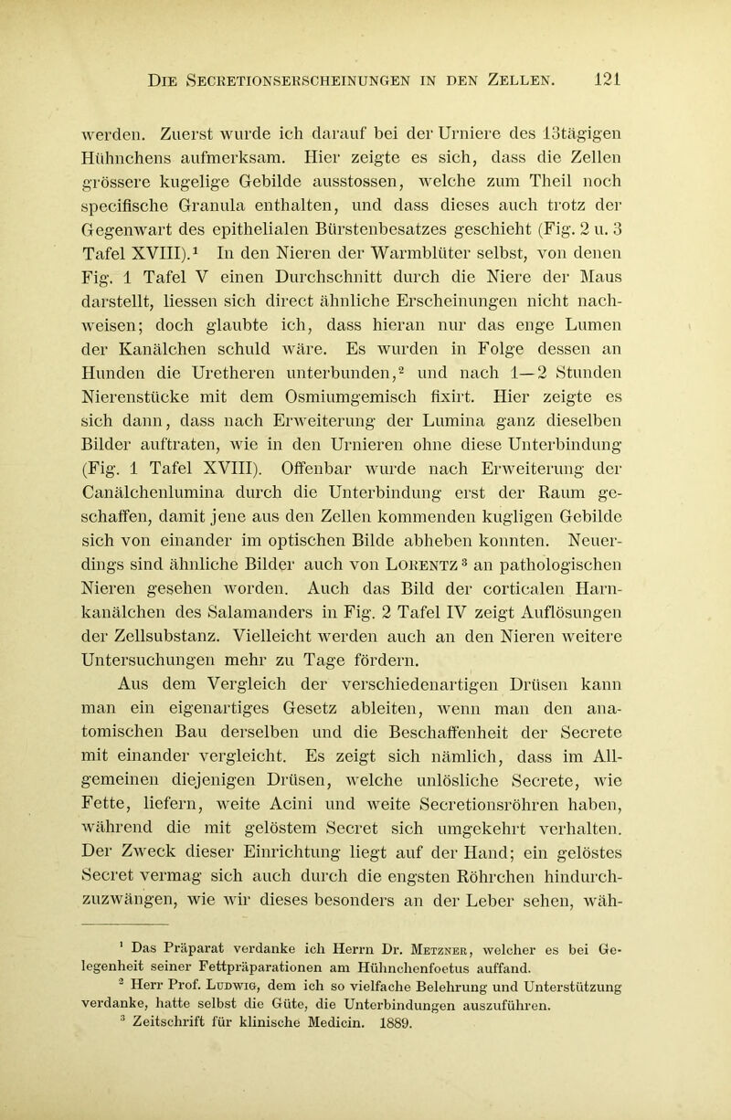 werden. Zuerst wurde ich darauf bei der Urniere des !3tägigen Hühnchens aufmerksam. Hier zeigte es sich, dass die Zellen grössere kugelige Gebilde ausstossen, welche zum Theil noch specifische Granula enthalten, und dass dieses auch trotz der Gegenwart des epithelialen Bürstenbesatzes geschieht (Fig. 2 u. 3 Tafel XVIII).1 In den Nieren der Warmblüter selbst, von denen Fig. 1 Tafel V einen Durchschnitt durch die Niere der Maus darstellt, Hessen sich direct ähnliche Erscheinungen nicht nach- weisen; doch glaubte ich, dass hieran nur das enge Lumen der Kanälchen schuld wäre. Es wurden in Folge dessen an Hunden die Uretheren unterbunden,2 3 und nach 1—2 Stunden Nierenstücke mit dem Osmiumgemisch fixirt. Hier zeigte es sich dann, dass nach Erweiterung der Lumina ganz dieselben Bilder auftraten, wie in den Urnieren ohne diese Unterbindung (Fig. 1 Tafel XVIII). Offenbar wurde nach Erweiterung der Canälchenlumina durch die Unterbindung erst der Raum ge- schaffen, damit jene aus den Zellen kommenden kugligen Gebilde sich von einander im optischen Bilde abheben konnten. Neuer- dings sind ähnliche Bilder auch von Lokentz 3 an pathologischen Nieren gesehen worden. Auch das Bild der corticalen Harn- kanälchen des Salamanders in Fig. 2 Tafel IV zeigt Auflösungen der Zellsubstanz. Vielleicht werden auch an den Nieren weitere Untersuchungen mehr zu Tage fördern. Aus dem Vergleich der verschiedenartigen Drüsen kann man ein eigenartiges Gesetz ableiten, wenn man den ana- tomischen Bau derselben und die Beschaffenheit der Secrete mit einander vergleicht. Es zeigt sich nämlich, dass im All- gemeinen diejenigen Drüsen, welche unlösliche Secrete, wie Fette, liefern, weite Acini und weite Secretionsröhren haben, während die mit gelöstem Secret sich umgekehrt verhalten. Der Zweck dieser Einrichtung liegt auf der Hand; ein gelöstes Secret vermag sich auch durch die engsten Röhrchen hindurch- zuzwängen, wie wir dieses besonders an der Leber sehen, wäh- 1 Das Präparat verdanke ich Herrn Dr. Metzner, welcher es bei Ge- legenheit seiner Fettpräparationen am Hülinchenfoetus auffand. 2 Herr Prof. Ludwig, dem ich so vielfache Belehrung und Unterstützung verdanke, hatte selbst die Güte, die Unterbindungen auszuführen. 3 Zeitschrift für klinische Medicin. 1889.