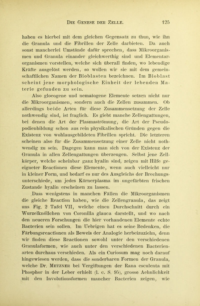 haben es hierbei mit dem gleichen Gegensatz zu thun, wie ihn die Granula und die Fibrillen der Zelle darbieten. Da auch sonst mancherlei Umstände dafür sprechen, dass Mikroorganis- men und Granula einander gleichwertliig sind und Elementar- organismen vorstellen, welche sich überall finden, wo lebendige Kräfte ausgelöst werden, so wollen wir sie mit dem gemein- schaftlichen Namen der Bioblasten bezeichnen. Im Bioblast scheint jene morphologische Einheit der lebenden Ma- terie gefunden zu sein. Also gloeogene und nematogene Elemente setzen nicht nur die Mikroorganismen, sondern auch die Zellen zusammen. Ob allerdings beide Arten für diese Zusammensetzung der Zelle nothwendig sind, ist fraglich. Es giebt manche Zellengattungen, bei denen die Art der Plasmaströmung, die Art der Pseudo- podienbildung schon aus rein physikalischen Gründen gegen die Existenz von wohlausgebildeten Fibrillen spricht. Die letzteren scheinen also für die Zusammensetzung einer Zelle nicht noth- wendig zu sein. Dagegen kann man sich von der Existenz der Granula in allen Zellengattungen überzeugen. Selbst jene Zell- körper, welche scheinbar ganz hyalin sind, zeigen mit Hilfe ge- eigneter Reactionen diese Elemente, wenn auch vielleicht nur in kleiner Form, und bedarf es nur des Ausgleichs der Brechungs- unterschiede, um jedes Körnerplasma im ungefärbten frischen Zustande hyalin erscheinen zu lassen. Dass wenigstens in manchen Fällen die Mikroorganismen die gleiche Reaction haben, wie die Zellengranula, das zeigt uns Fig. 2 Tafel VII, welche einen Durchschnitt durch ein Wurzelknöllchen von Coronilla glauca darstellt, und wo nach den neueren Forschungen die hier vorhandenen Elemente echte Bacterien sein sollen. Im Uebrigen hat es seine Bedenken, die Färbungsreactionen als Beweis der Analogie herbeizuziehn, denn wir finden diese Reactionen sowohl unter den verschiedenen Granulaformen, wie auch unter den verschiedenen Bacterien- arten durchaus verschieden. Als ein Curiosum mag noch darauf hingewiesen werden, dass die sonderbaren Formen der Granula, welche Dr. Metzner bei Vergiftungen der Rana esculenta mit Phosphor in der Leber erhielt (1. c. S. 95), grosse Achulichke.it mit den Involutionsformen mancher Bacterien zeigen, wie