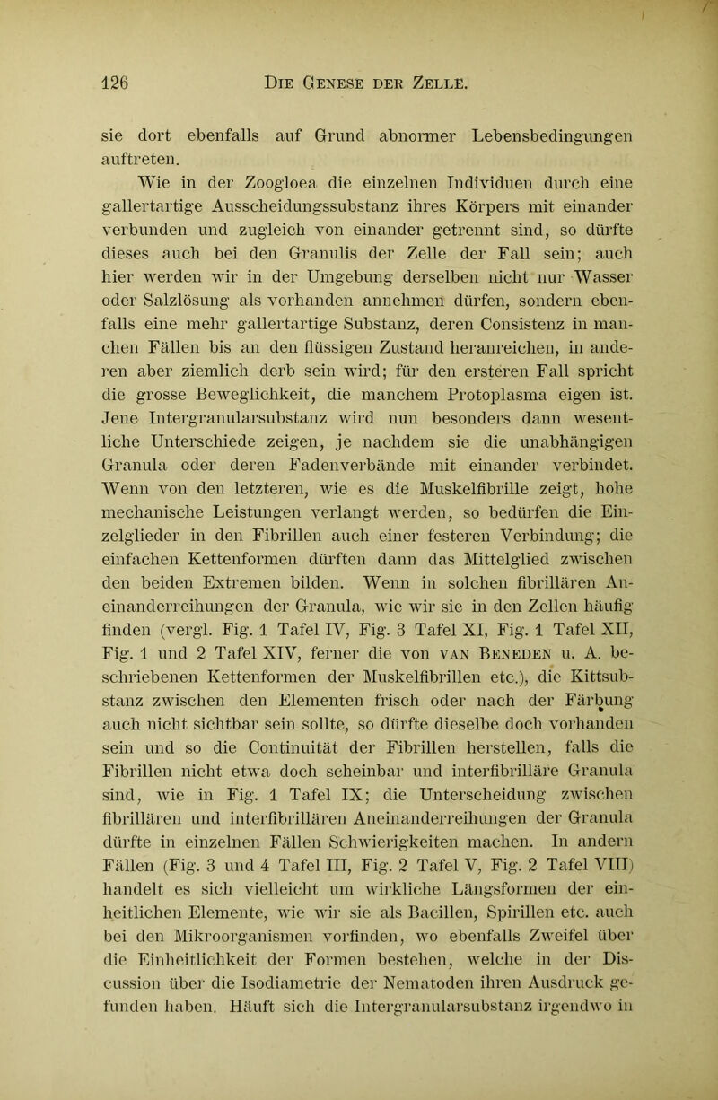 sie dort ebenfalls auf Grund abnormer Lebensbedingungen auftreten. Wie in der Zoogloea die einzelnen Individuen durch eine gallertartige Ausscheidungssubstanz ihres Körpers mit einander verbunden und zugleich von einander getrennt sind, so dürfte dieses auch bei den Granulis der Zelle der Fall sein; auch hier werden wir in der Umgebung derselben nicht nur Wasser oder Salzlösung als vorhanden annehmen dürfen, sondern eben- falls eine mehr gallertartige Substanz, deren Consistenz in man- chen Fällen bis an den flüssigen Zustand heranreichen, in ande- ren aber ziemlich derb sein wird; für den ersteren Fall spricht die grosse Beweglichkeit, die manchem Protoplasma eigen ist. Jene Intergranularsubstanz wird nun besonders dann wesent- liche Unterschiede zeigen, je nachdem sie die unabhängigen Granula oder deren Fadenverbände mit einander verbindet. Wenn von den letzteren, wie es die Muskelfibrille zeigt, hohe mechanische Leistungen verlangt werden, so bedürfen die Ein- zelglieder in den Fibrillen auch einer festeren Verbindung; die einfachen Kettenformen dürften dann das Mittelglied zwischen den beiden Extremen bilden. Wenn in solchen fibrillären An- einanderreihungen der Granula, wie wir sie in den Zellen häufig finden (vergl. Fig. 1 Tafel IV, Fig. 3 Tafel XI, Fig. 1 Tafel XII, Fig. 1 und 2 Tafel XIV, ferner die von van Beneden u. A. be- schriebenen Kettenformen der Muskelfibrillen etc.), die Kittsub- stanz zwischen den Elementen frisch oder nach der Färbung auch nicht sichtbar sein sollte, so dürfte dieselbe doch vorhanden sein und so die Continuität der Fibrillen herstellen, falls die Fibrillen nicht etwa doch scheinbar und interfibrilläre Granula sind, wie in Fig. 1 Tafel IX; die Unterscheidung zwischen fibrillären und interfibrillären Aneinanderreihungen der Granula dürfte in einzelnen Fällen Schwierigkeiten machen. In andern Fällen (Fig. 3 und 4 Tafel III, Fig. 2 Tafel V, Fig. 2 Tafel VIII) handelt es sich vielleicht um wirkliche Längsformen der ein- heitlichen Elemente, wie wir sie als Bacillen, Spirillen etc. auch bei den Mikroorganismen vorfinden, wo ebenfalls Zweifel über die Einheitlichkeit der Formen bestehen, welche in der Dis- cussion über die Isodiametrie der Nematoden ihren Ausdruck ge- funden haben. Häuft sich die Intergranularsubstanz irgendwo in