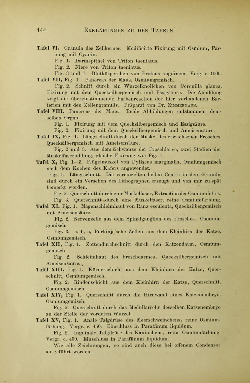 Tafel VI. Granula des Zellkernes. Modificirte Fixirung mit Osftiium, Fär- bung mit Cyanin. Fig. 1. Darmepithel von Triton taeniatus. Fig. 2. Niere von Triton taeniatus. Fig. 3 und 4. Blutkörperchen von Proteus anguineus, Verg. c. 1000. Tafel VII, Fig. 1. Pancreas der Maus, Osmiumgemisch. Fig. 2. Schnitt durch ein Wurzelknöllchen von Coronilla glauca, Fixirung mit dem Quecksilbergemisch und Essigsäure. Die Abbildung zeigt die übereinstimmende Farbenreaction der hier vorhandenen Bac- terien mit den Zellengranulis. Präparat von Dr. Zimmermann. Tafel VIII. Pancreas der Maus. Beide Abbildungen entstammen dem- selben Organ. Fig. 1. Fixirung mit dem Quecksilbergemisch und Essigsäure. Fig. 2. Fixirung mit dem Quecksilbergemisch und Ameisensäure. Tafel IX, Fig. 1. Längsschnitt durch den Muskel des erwachsenen Frosches. Quecksilbergemisch mit Ameisensäure. Fig. 2 und 3. Aus dem Schwänze der Froschlarve, zwei Stadien der Muskelfaserbildung, gleiche Fixirung wie Fig. 1. Tafel X, Fig. 1 — 3. Flügelmuskel von Dytiseus marginalis, Osmiumgemisch nach dem Kochen des Käfers angewendet. Fig. 1. Längsschnitt. Die vereinzelten hellen Centra in den Granulis sind durch ein Versehen des Lithographen erzeugt und von mir zu spät bemerkt worden. Fig. 2. Querschnitt durch eine Muskelfaser, Extraction des Osmiumfettes. Fig. 3. Querschnitt durch eine Muskelfaser, reine Osmiumfärbung. Tafel XI, Fig. 1. Magenschleimhaut von Rana esculenta, Quecksilbergemisch mit Ameisensäure. Fig. 2. Nervenzelle aus dem Spinalganglion des Frosches. Osmium- gemisch. Fig. 3. a, b, c, Purkinje’sche Zellen aus dem Kleinhirn der Katze. Osmiumgemisch. Tafel XII, Fig. 1. Zottendurchschnitt durch den Katzendarm, Osmium- gemisch. Fig. 2. Schleimhaut des Froschdarmes, Quecksilbergemisch mit Ameisensäure., Tafel XIII, Fig. 1. Körnerschicht aus dem Kleinhirn der Katze, Quer- schnitt, Osmiumgemisch. Fig. 2. Rindenschicht aus dem Kleinhirn der Katze, Querschnitt, Osmiumgemisch. Tafel XIV, Fig. 1. Querschnitt durch die Hirnwand eines Katzenembryo, Osmiumgemisch. Fig. 2. Querschnitt durch das Medullarrohr desselben Katzenembryo an der Stelle der vorderen Wurzel. Tafel XV, Fig. 1. Anale Talgdrüse des Meerschweinchens, reine Osmium- färbung. Vergr. c. 450. Einschluss in Paraffinum liquidum. Fig. 2. Inguinale Talgdrüse des Kaninchens, reine Osmiumfärbung Vergr. c. 450. Einschluss in Paraffinum liquidum. Wie alle Zeichnungen, so sind auch diese bei offenem Condensor ausgeführt worden.