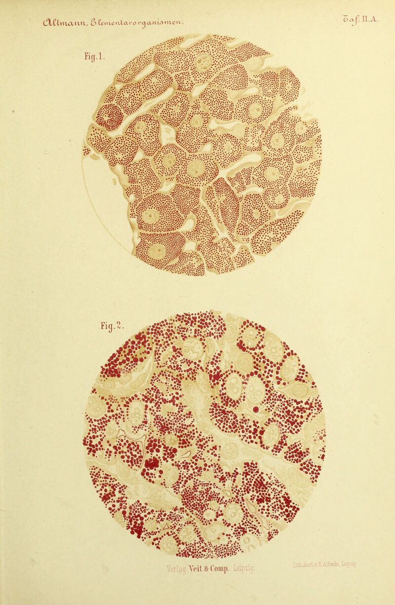 (%CUlu&tltv, <3 (emeivlo.ro i-c] aiiuynven ■ AÄnke, <xf. II.A.