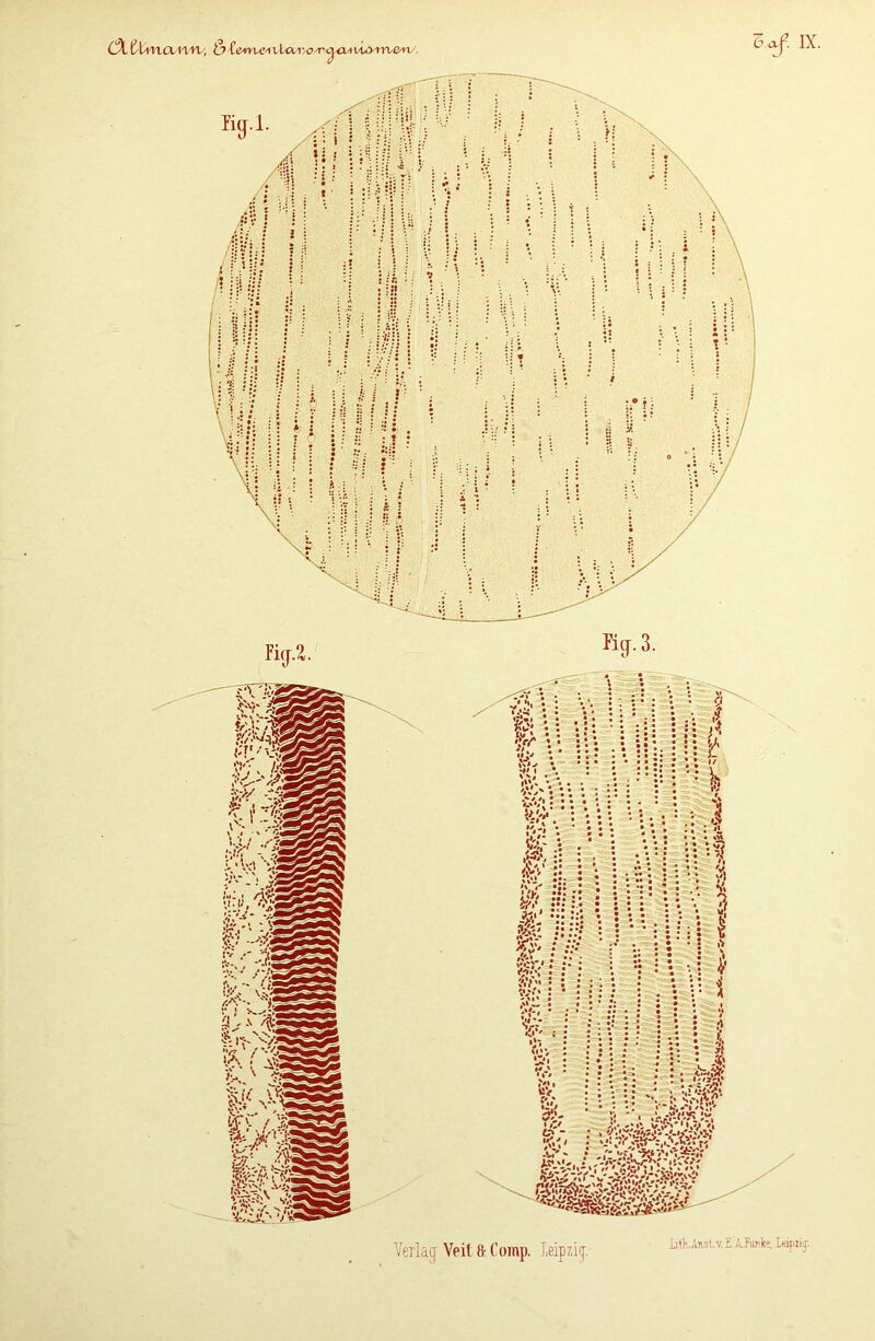 Iith.Anst.vE.APuiike, leipiij.