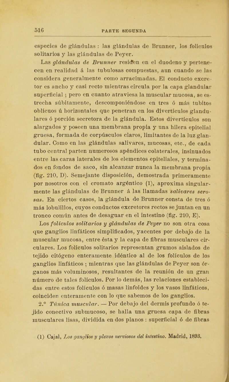 especies de glándulas : las glándulas de Brunner, los folículos solitarios y las glándulas de Peyer. Las glándulas de Brunner residen en el duodeno y pertene- cen en realidad á las tubulosas compuestas, aun cuando se las considera generalmente como arracimadas. El conducto excre- tor es ancho y casi recto mientras circula por la capa glandular superficial 5 pero en cuanto atraviesa la muscular mucosa, se es- trecha súbitamente, descomponiéndose en tres ó más tubitos oblicuos ú horizontales que penetran en los divertículos glandu- lares ó porción secretora de la glándula. Estos divertículos son alargados y poseen una membrana propia y una hilera epitelial gruesa, formada de corpúsculos claros, limitantes de la luz glan- dular. Como en las glándulas salivares, mucosas, etc., de cada tubo central parten numerosos apéndices colaterales, insinuados entre las caras laterales de los elementos epiteliales, y termina- dos en fondos de saco, sin alcanzar nunca la membrana propia (fig. 210, D). Semejante disposición, demostrada primeramente por nosotros con el cromato argéntico (1), aproxima singular- mente las glándulas de Brunner á las llamadas salivares sero- sas. En ciertos casos, la glándula de Brunner consta de tres ó más lobulillos, cuyos conductos excretores rectos se juntan en un tronco conuín antes de desaguar en el intestino (fig. 210, E). Los folículos solitarios y glándulas de Peyer no son otra cosa que ganglios linfáticos simplificados, yacentes por debajo de la muscular mucosa, entre ésta y la capa de fibras musculares cir- culares. Los folículos solitarios representan grumos aislados de tejido citógeno enteramente idéntico al de los folículos de los ganglios linfáticos • mientras que las glándulas de Peyer son ór- ganos más voluminosos, resultantes de la reunión de un gran número de tales folículos. Por lo demás, las relaciones estableci- das entre estos folículos ó masas linfoides y los vasos linfáticos, coinciden enteramente con lo que sabemos de los ganglios. 2.° Túnica muscular. — Por debajo del dermis profundo ó te- jido conectivo submucoso, se halla una gruesa capa de fibras musculares lisas, dividida en dos planos : superficial ó de fibras (1) Cajal, Los ganglios y plexos nerviosos del intestino. Madrid, 1893.