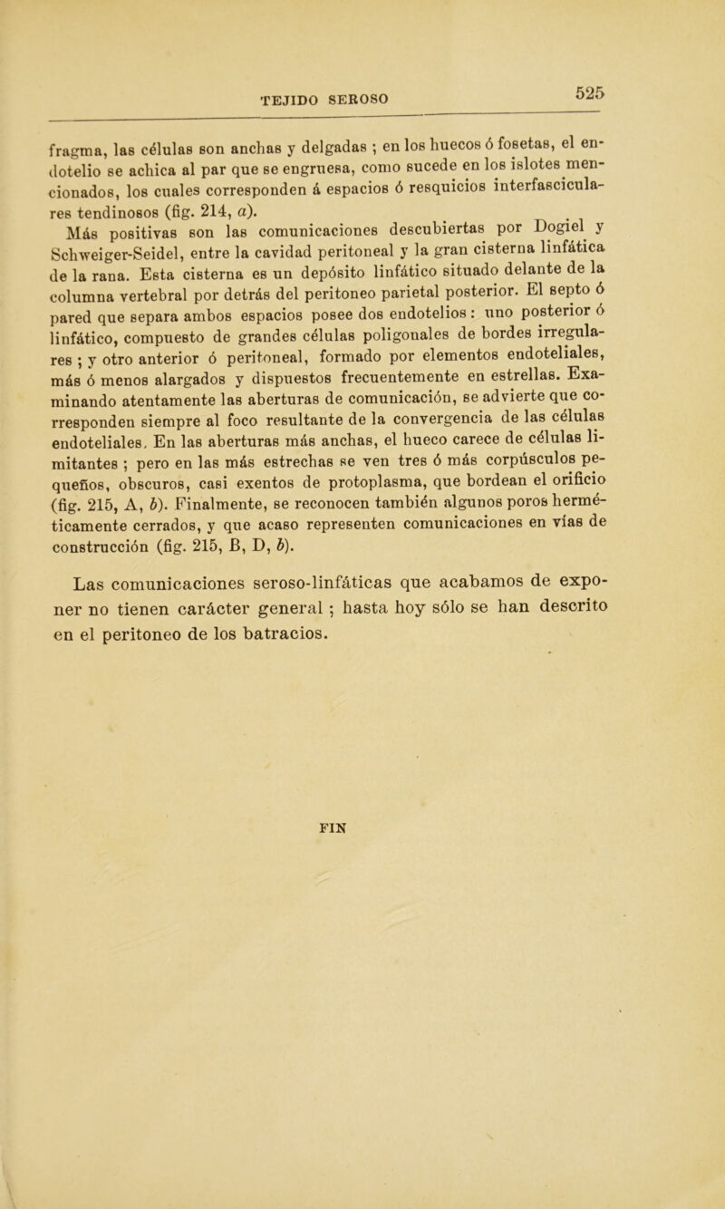 fragma, las células son anchas y delgadas ; en los huecos ó fosetas, el en- dotelio se achica al par que se engruesa, como sucede en los islotes men- cionados, los cuales corresponden á espacios ó resquicios interfascicula- res tendinosos (fig. 214, a). Más positivas son las comunicaciones descubiertas por Dogiel y Schweiger-Seidel, entre la cavidad peritoneal y la gran cisterna linfática de la rana. Esta cisterna es un depósito linfático situado delante de la columna vertebral por detrás del peritoneo parietal posterior. El septo ó pared que separa ambos espacios posee dos endotelios : uno posterior ó linfático, compuesto de grandes células poligonales de bordes irregula- res ; y otro anterior ó peritoneal, formado por elementos endoteliales, más ó menos alargados y dispuestos frecuentemente en estrellas. Exa- minando atentamente las aberturas de comunicación, se advierte que co- rresponden siempre al foco resultante de la convergencia de las células endoteliales. En las aberturas más anchas, el hueco carece de células li- mitantes ; pero en las más estrechas se ven tres ó más corpúsculos pe- queños, obscuros, casi exentos de protoplasma, que bordean el orificio (fig. 215, A, b). Finalmente, se reconocen también algunos poros hermé- ticamente cerrados, y que acaso representen comunicaciones en vías de construcción (fig. 215, B, D, b). Las comunicaciones seroso-linfáticas que acabamos de expo- ner no tienen carácter general; hasta hoy sólo se han descrito en el peritoneo de los batracios. FIN