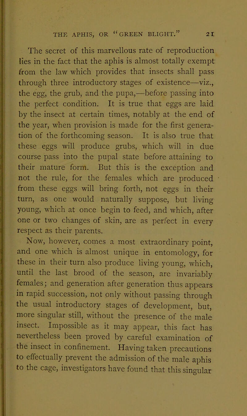 The secret of this marvellous rate of reproduction lies in the fact that the aphis is almost totally exempt from the law which provides that insects shall pass through three introductory stages of existence—viz., the egg, the grub, and the pupa,—before passing into the perfect condition. It is true that eggs are laid by the insect at certain times, notably at the end of the year, when provision is made for the first genera- tion of the forthcoming season. It is also true that these eggs will produce grubs, which will in due course pass into the pupal state before attaining to their mature form. But this is the exception and not the rule, for the females which are produced from these eggs will bring forth, not eggs in their turn, as one would naturally suppose, but living young, which at once begin to feed, and which, after one or two changes of skin, are as perfect in every respect as their parents. Now, however, comes a most extraordinary point, and one which is almost unique in entomology, for these in their turn also produce living young, which, until the last brood of the season, are invariably females; and generation after generation thus appears in rapid succession, not only without passing through the usual introductory stages of development, but, more singular still, without the presence of the male insect. Impossible as it may appear, this fact has nevertheless been proved by careful examination of the insect in confinement. Having taken precautions to effectually prevent the admission of the male aphis to the cage, investigators have found that this singular